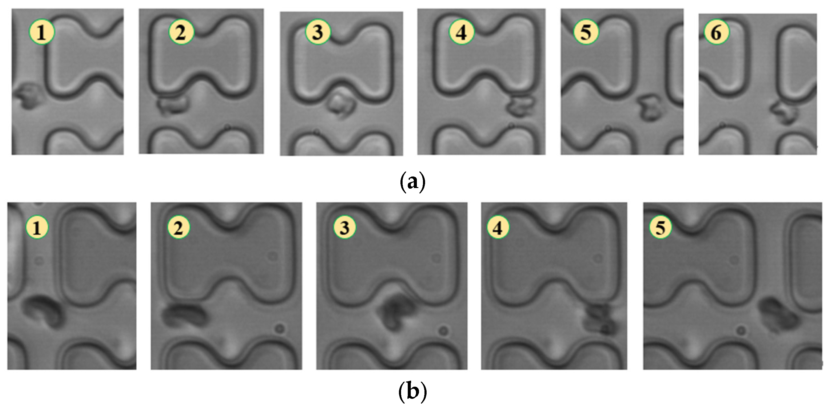 Micromachines 15 00214 g007