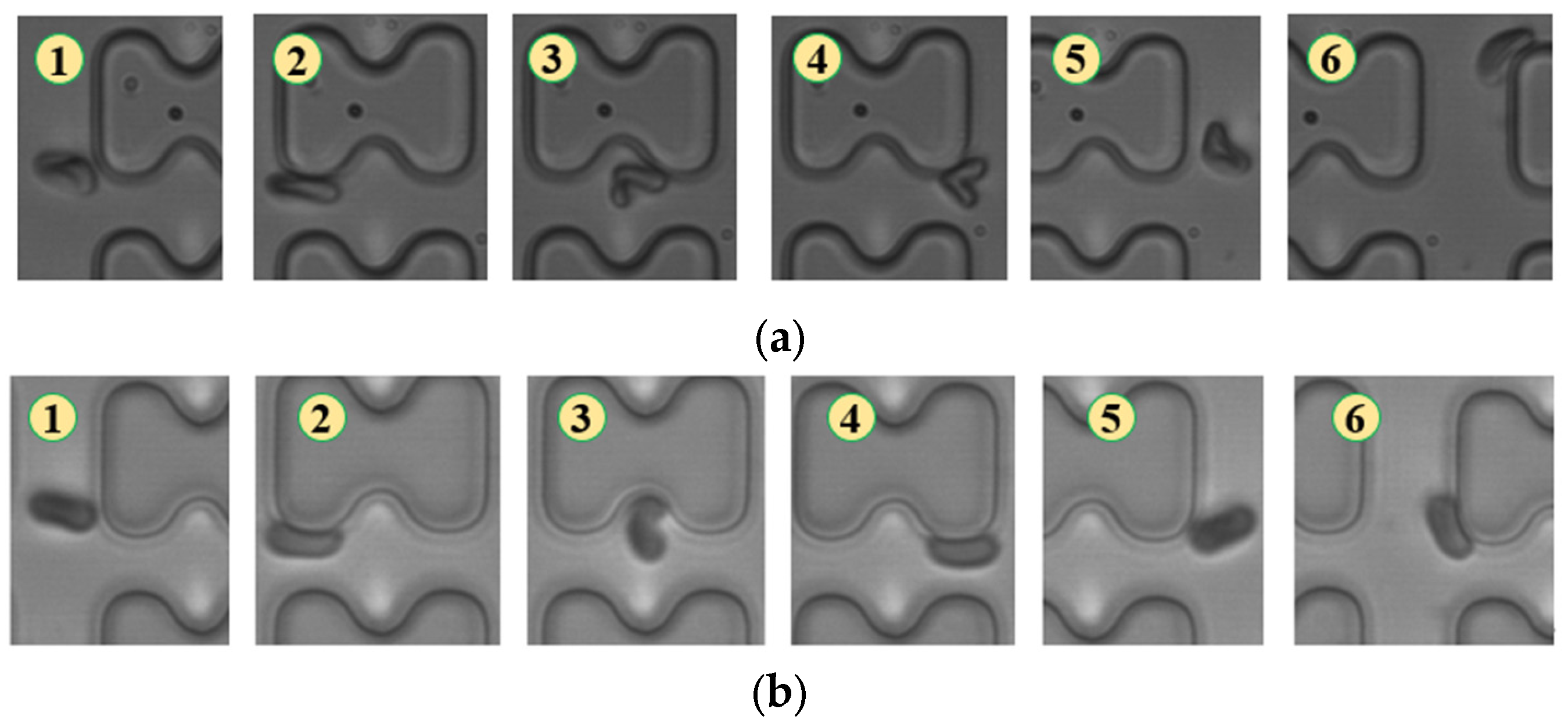 Micromachines 15 00214 g008