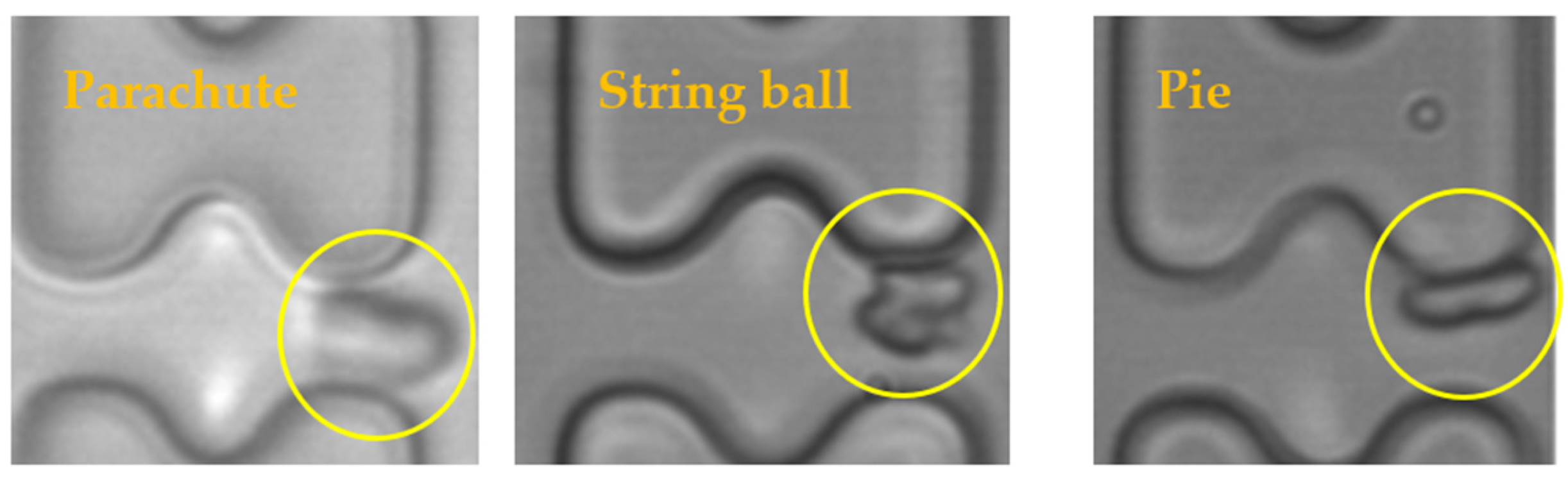 Micromachines 15 00214 g010