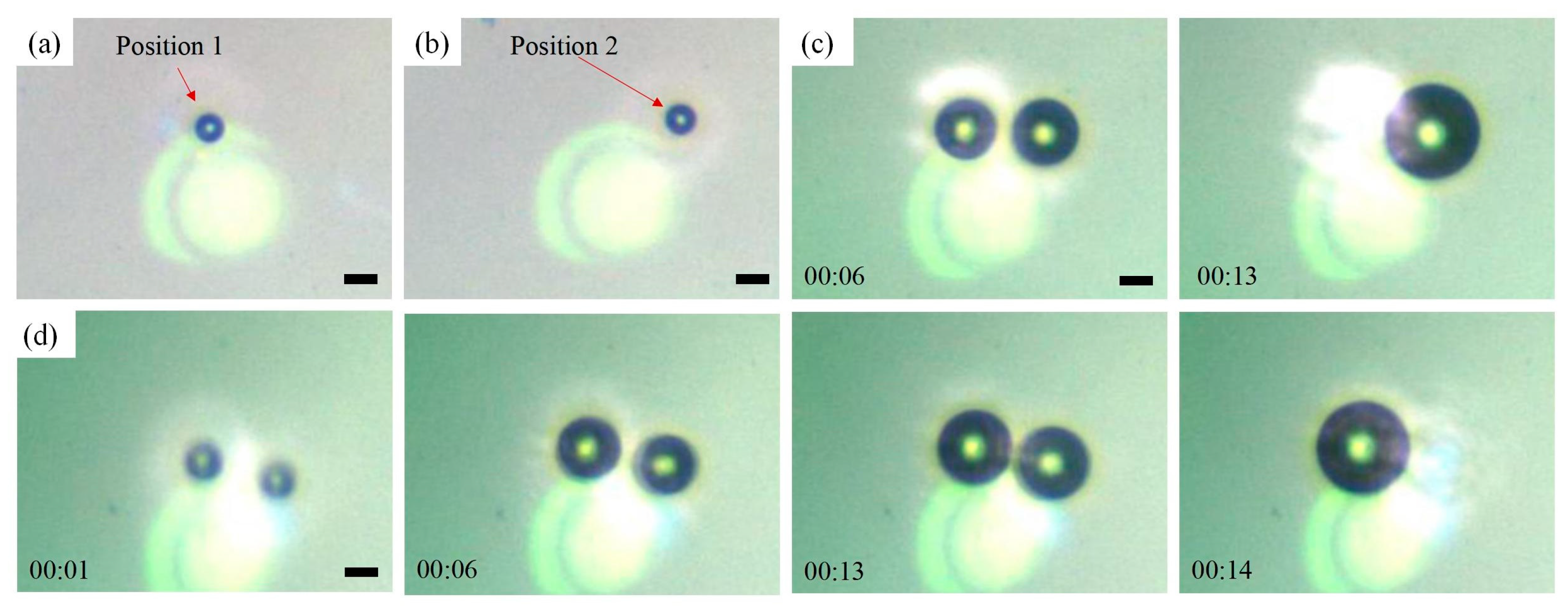 Micromachines 15 00230 g003