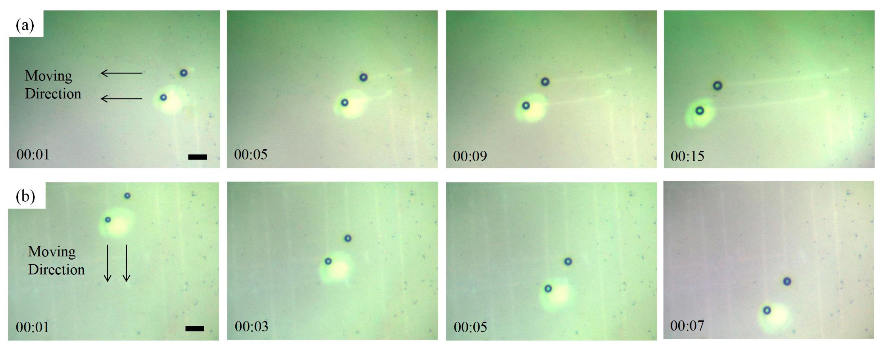 Micromachines 15 00230 g005