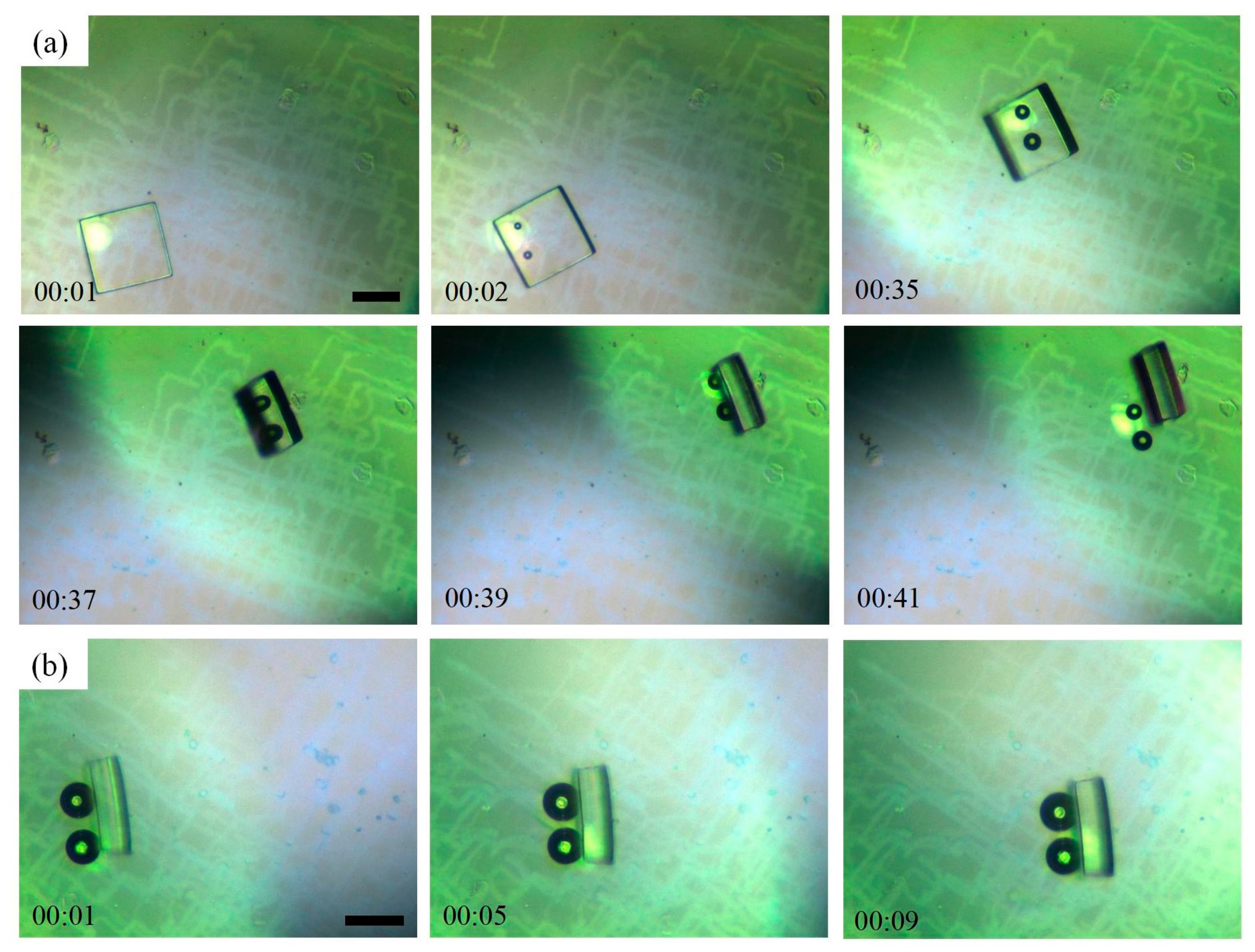 Micromachines 15 00230 g007