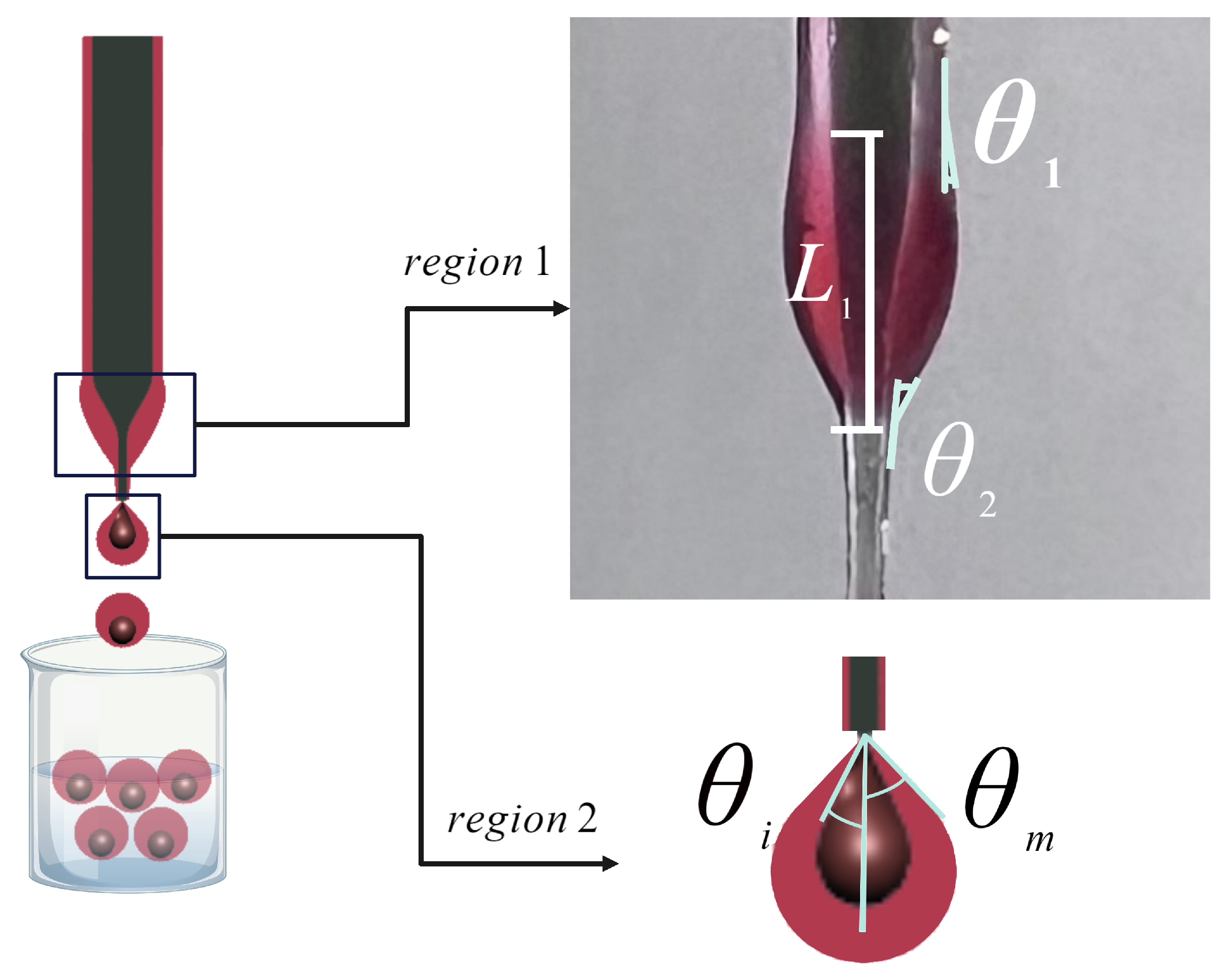 Micromachines 15 00239 g002