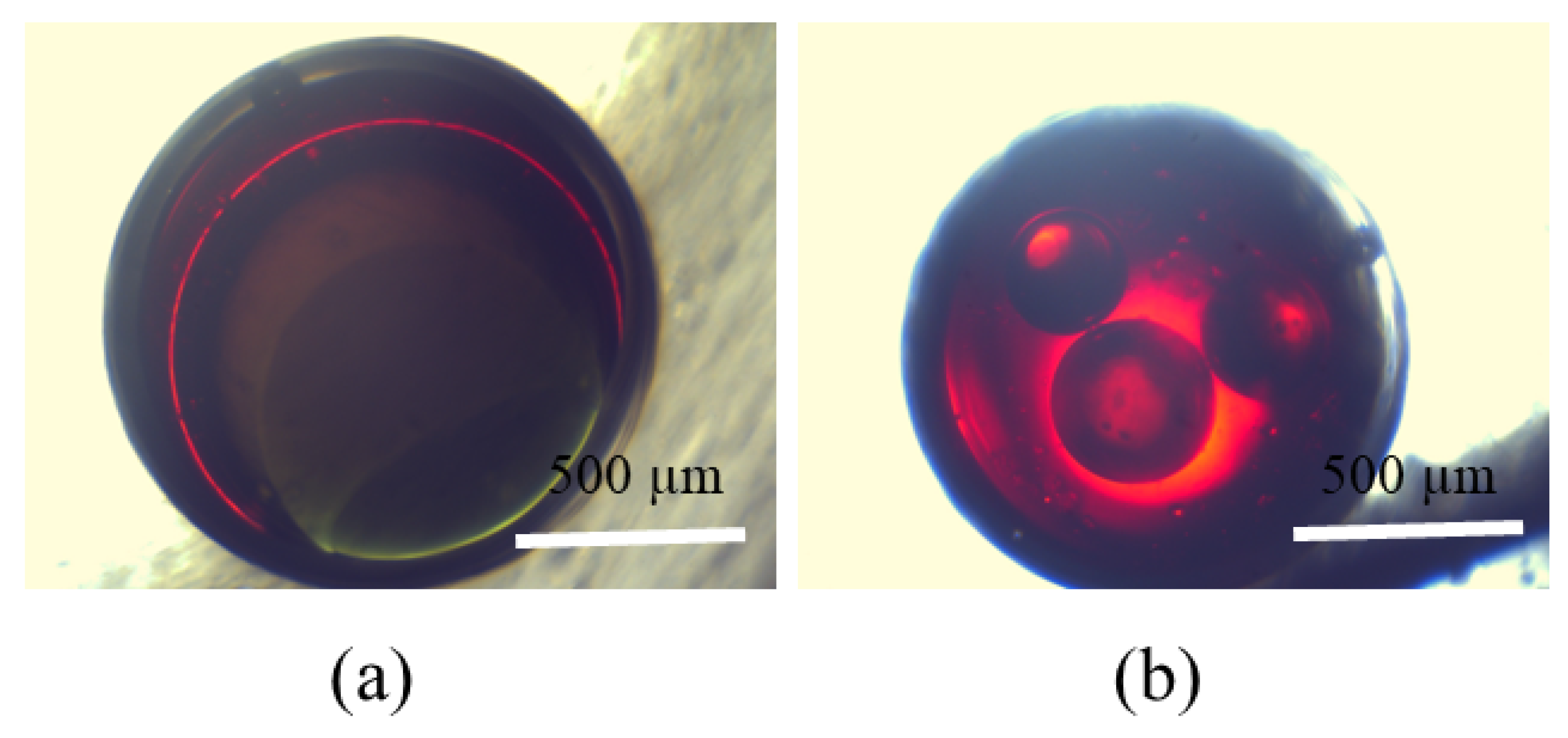 Micromachines 15 00239 g009