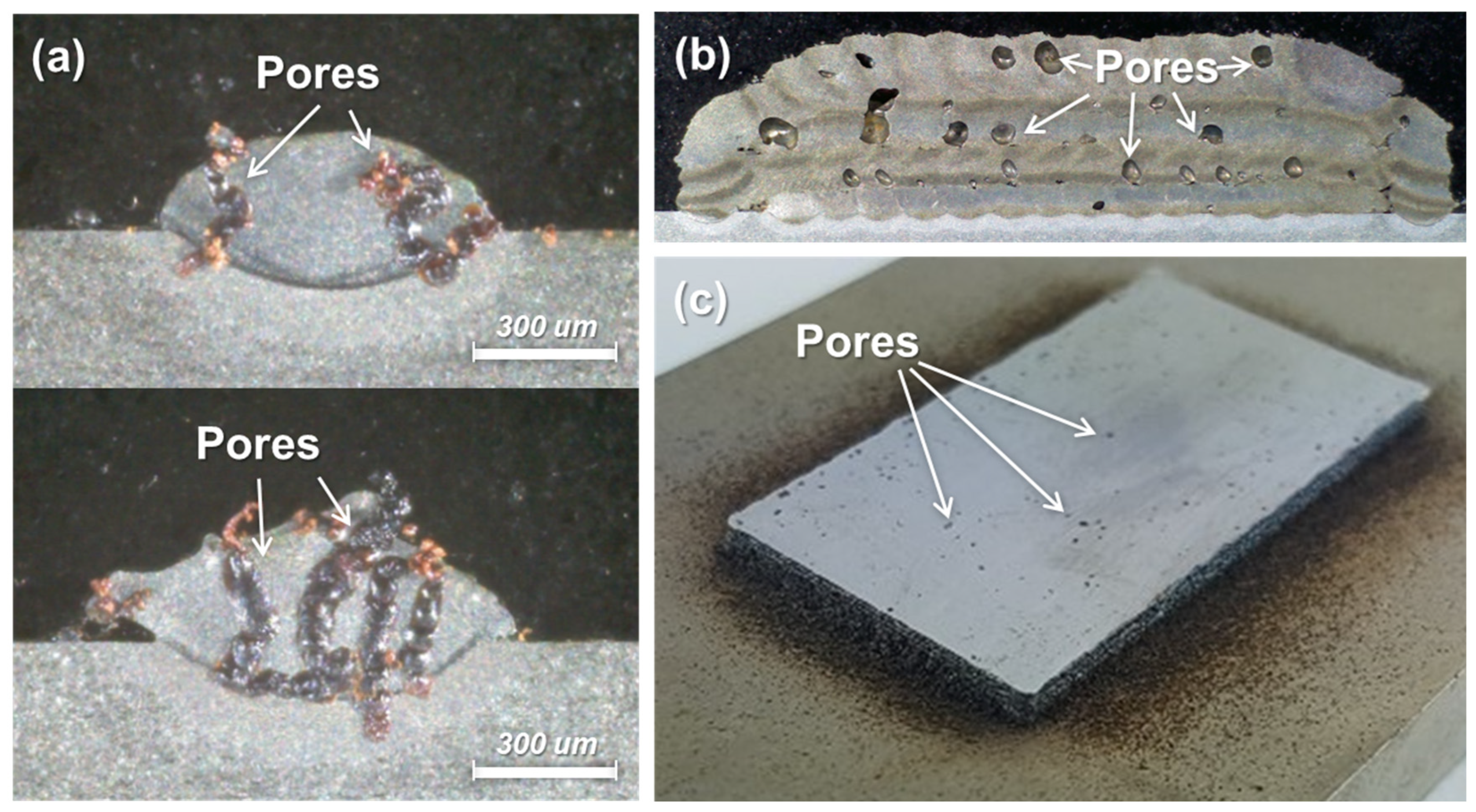 Micromachines 15 00243 g002