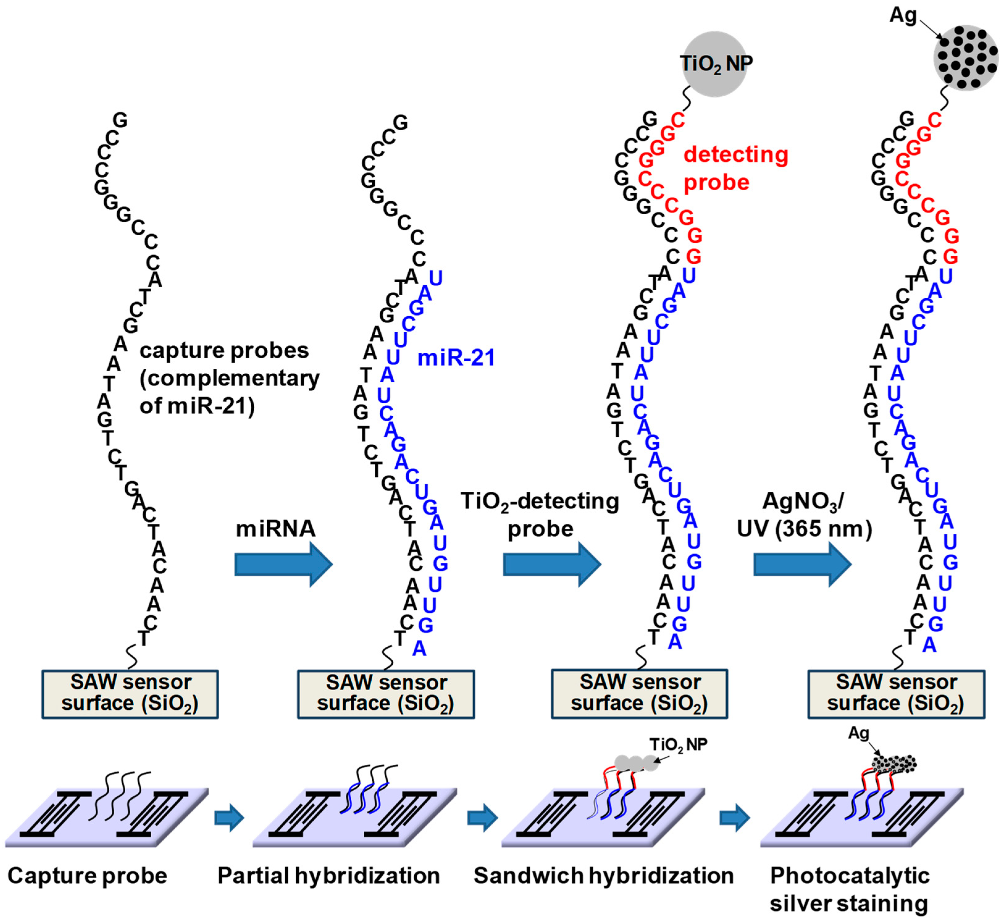 Micromachines 15 00249 g004
