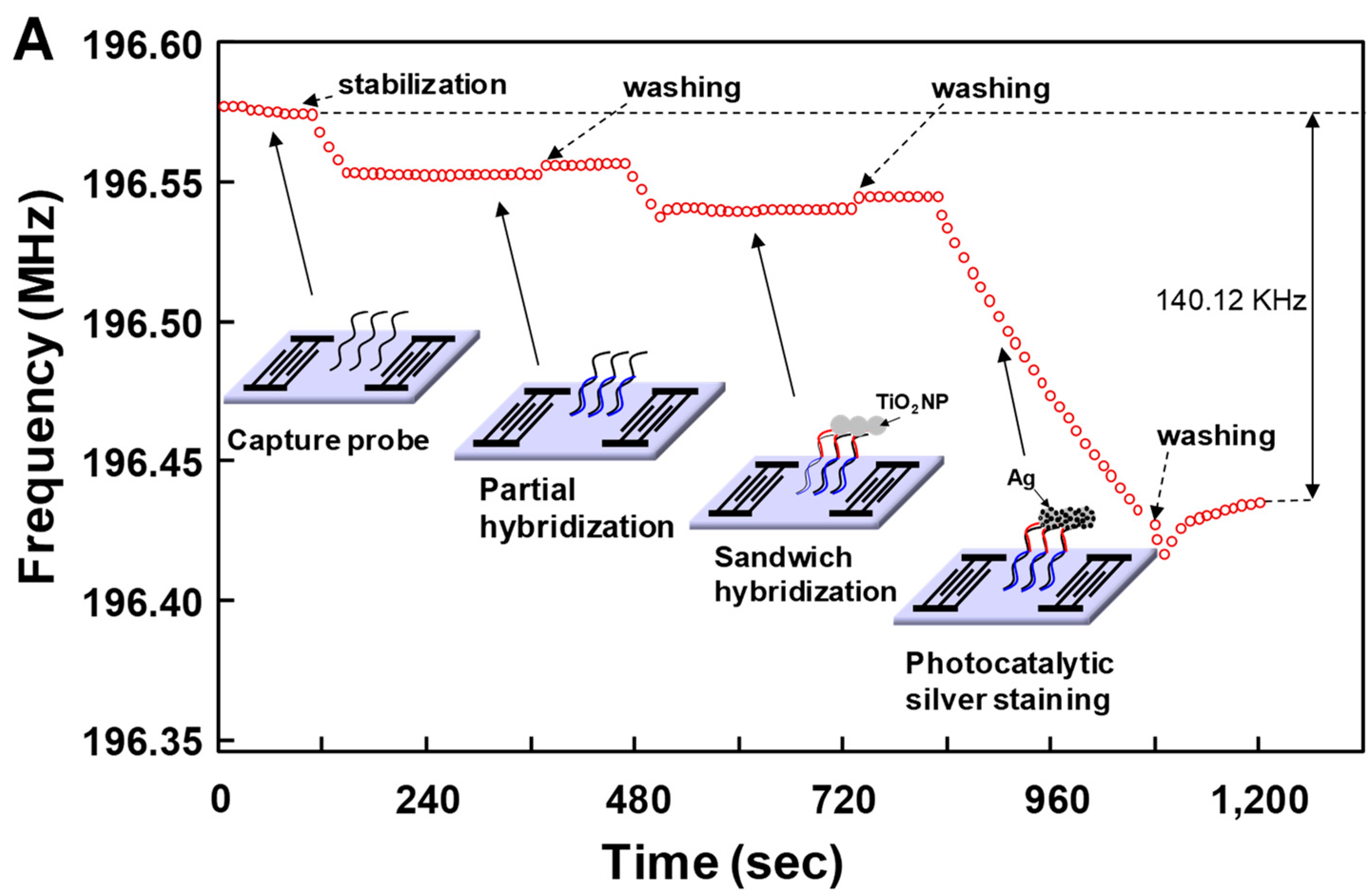 Micromachines 15 00249 g005a