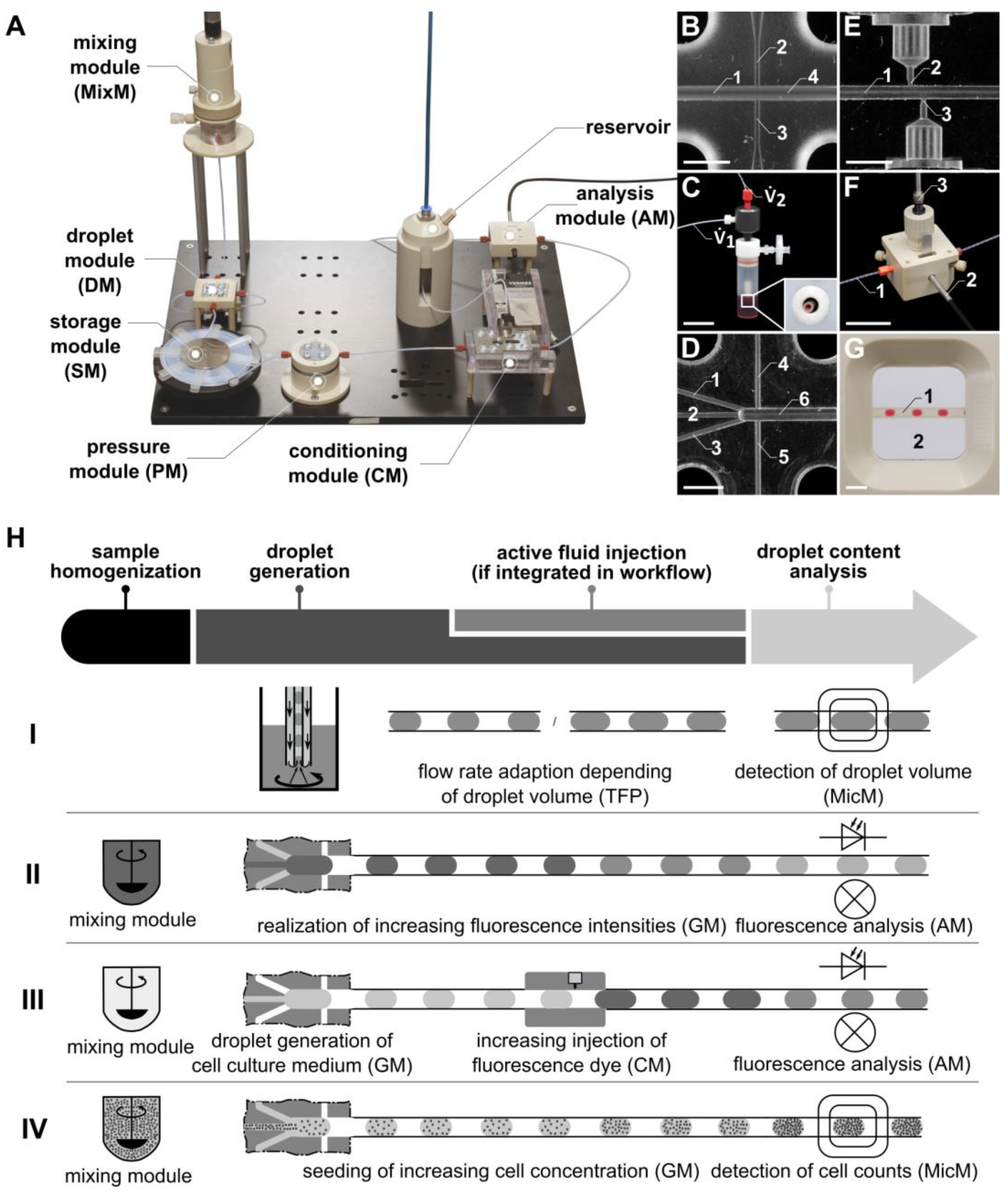 Micromachines 15 00250 g001 Micromachines 15 00250 g001