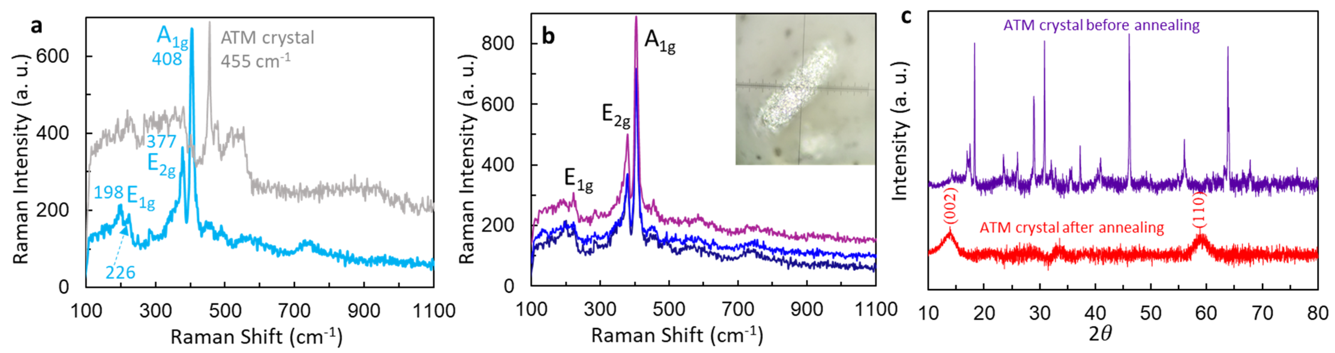 Micromachines 15 00258 g001