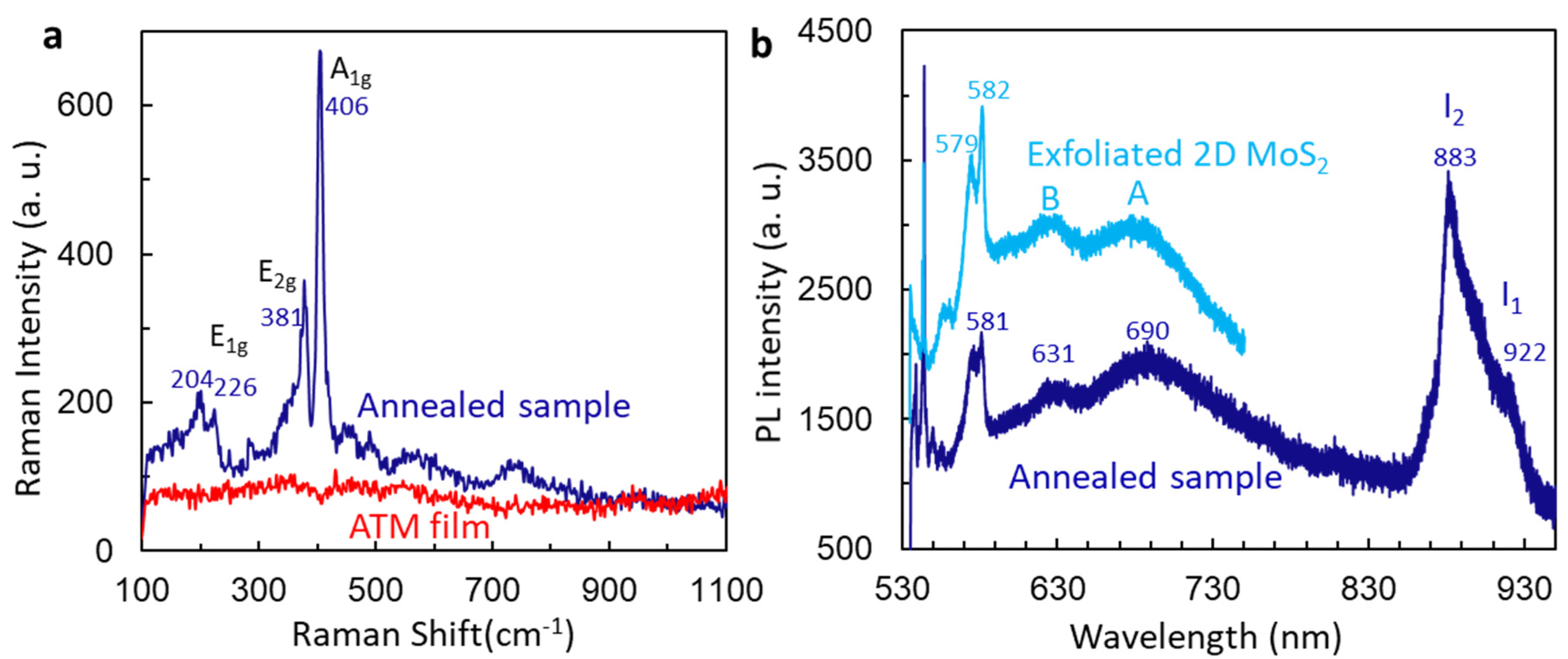 Micromachines 15 00258 g002