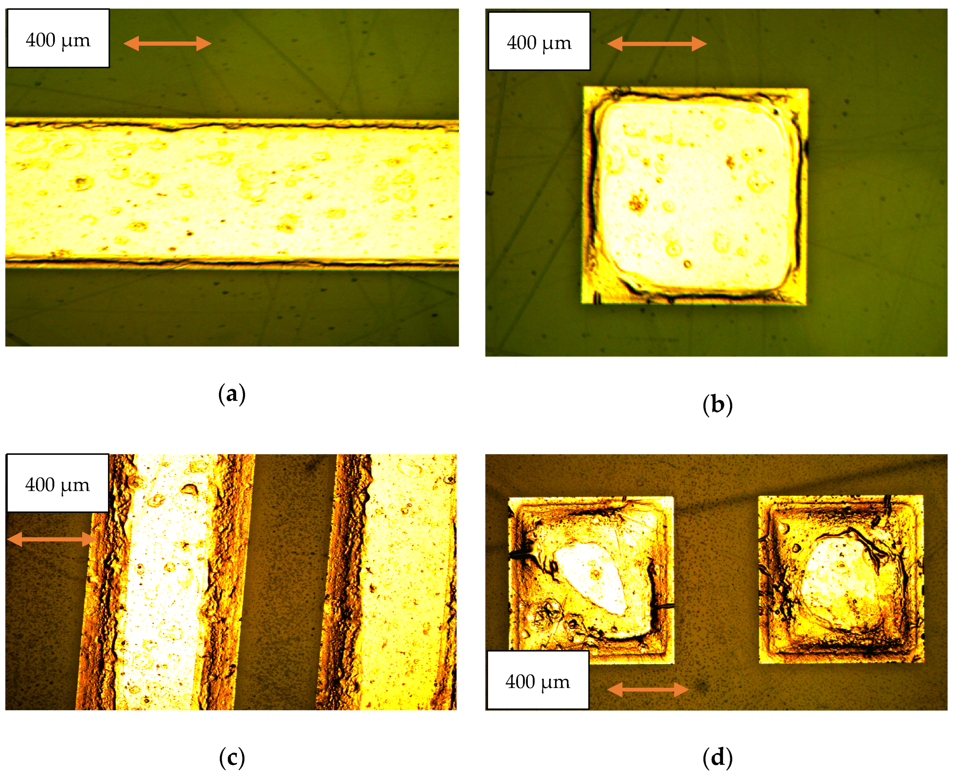 Micromachines 15 00259 g007