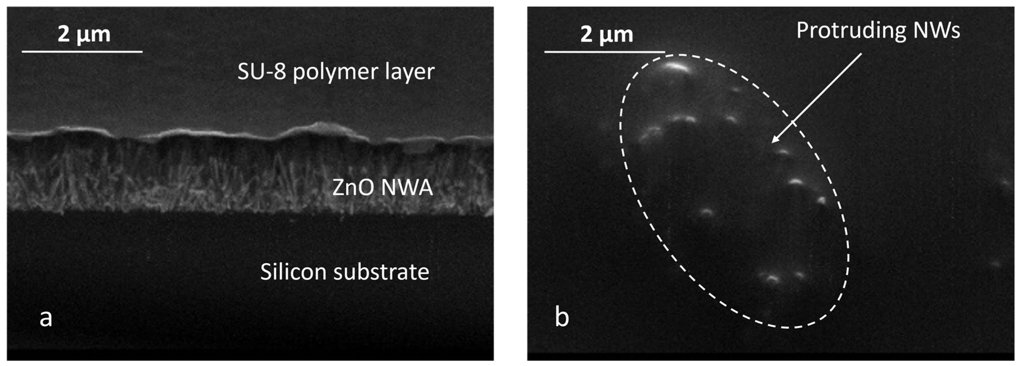 Micromachines 15 00261 g005