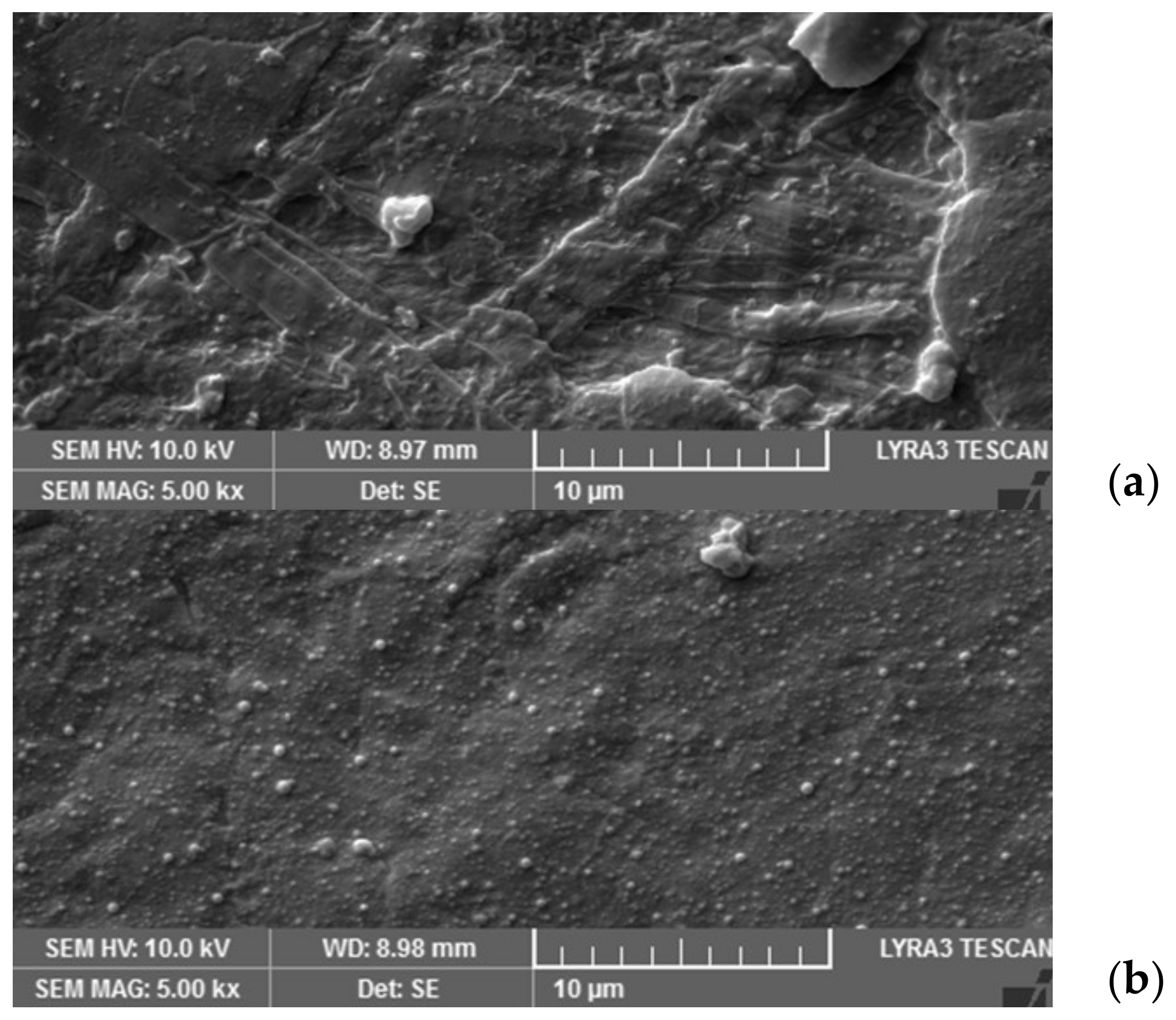 Micromachines 15 00265 g003 Micromachines 15 00265 g003