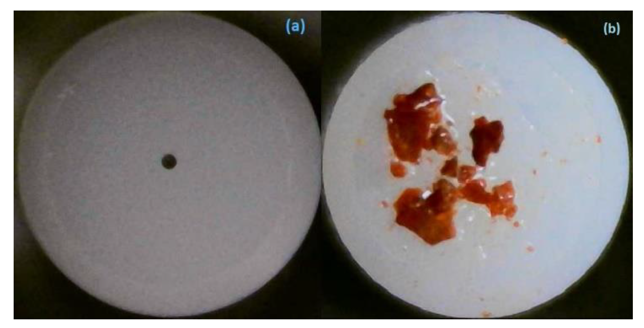 Micromachines 15 00267 g001