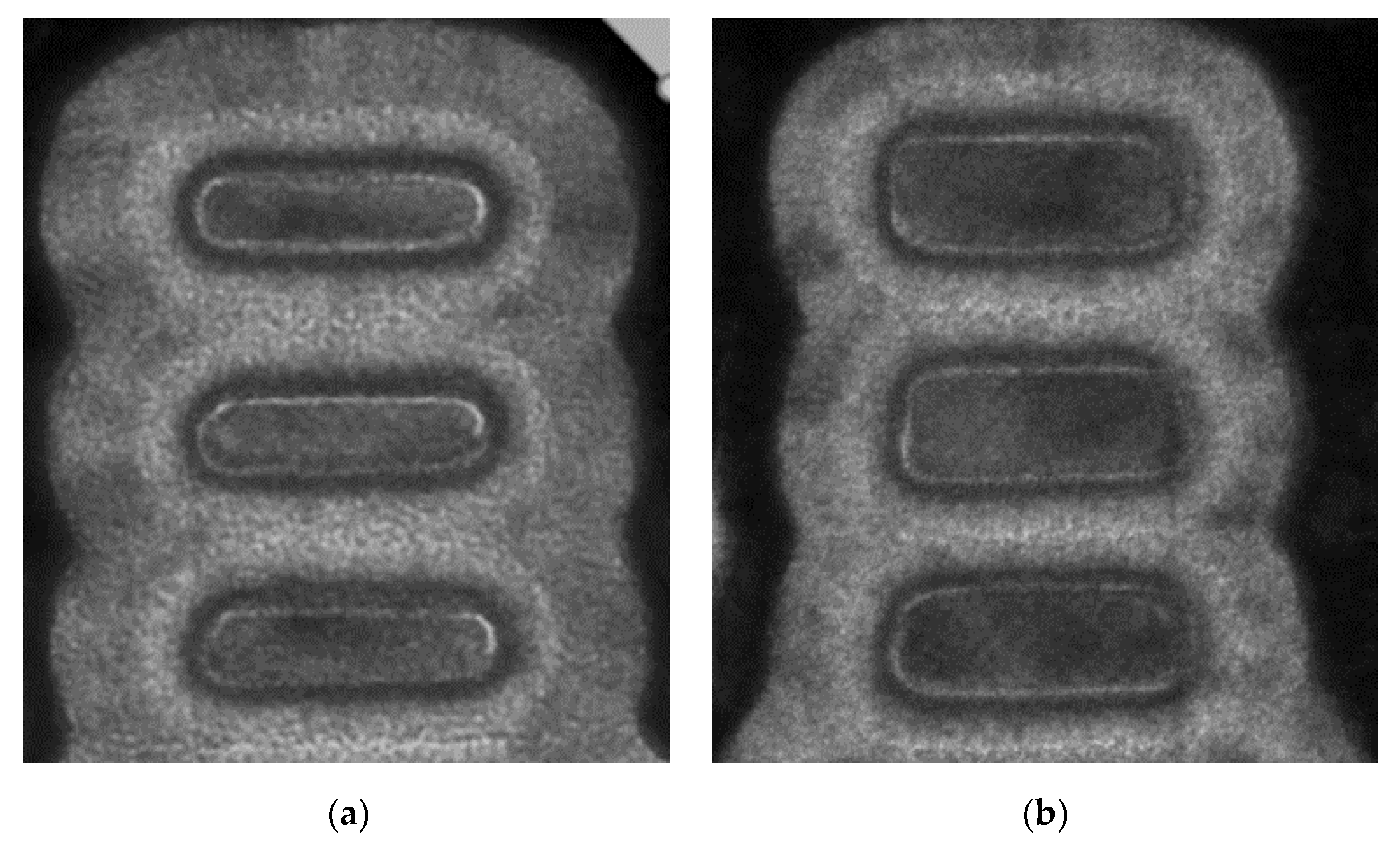 Micromachines 15 00269 g009