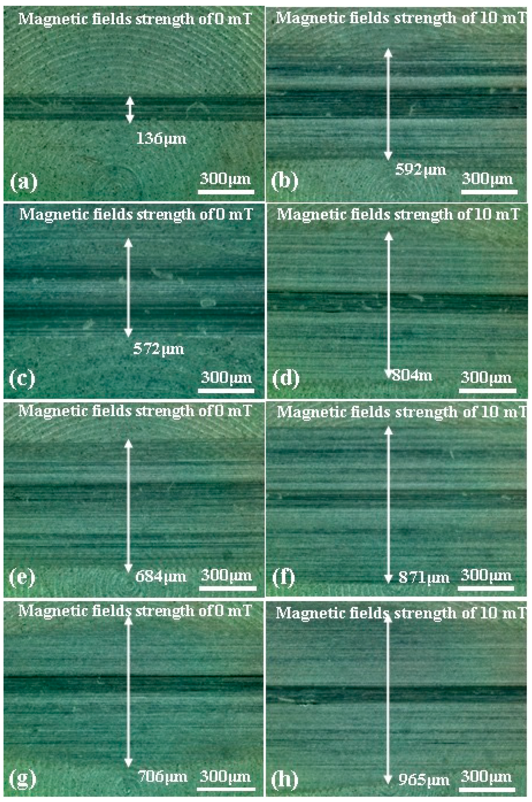Micromachines 15 00270 g007
