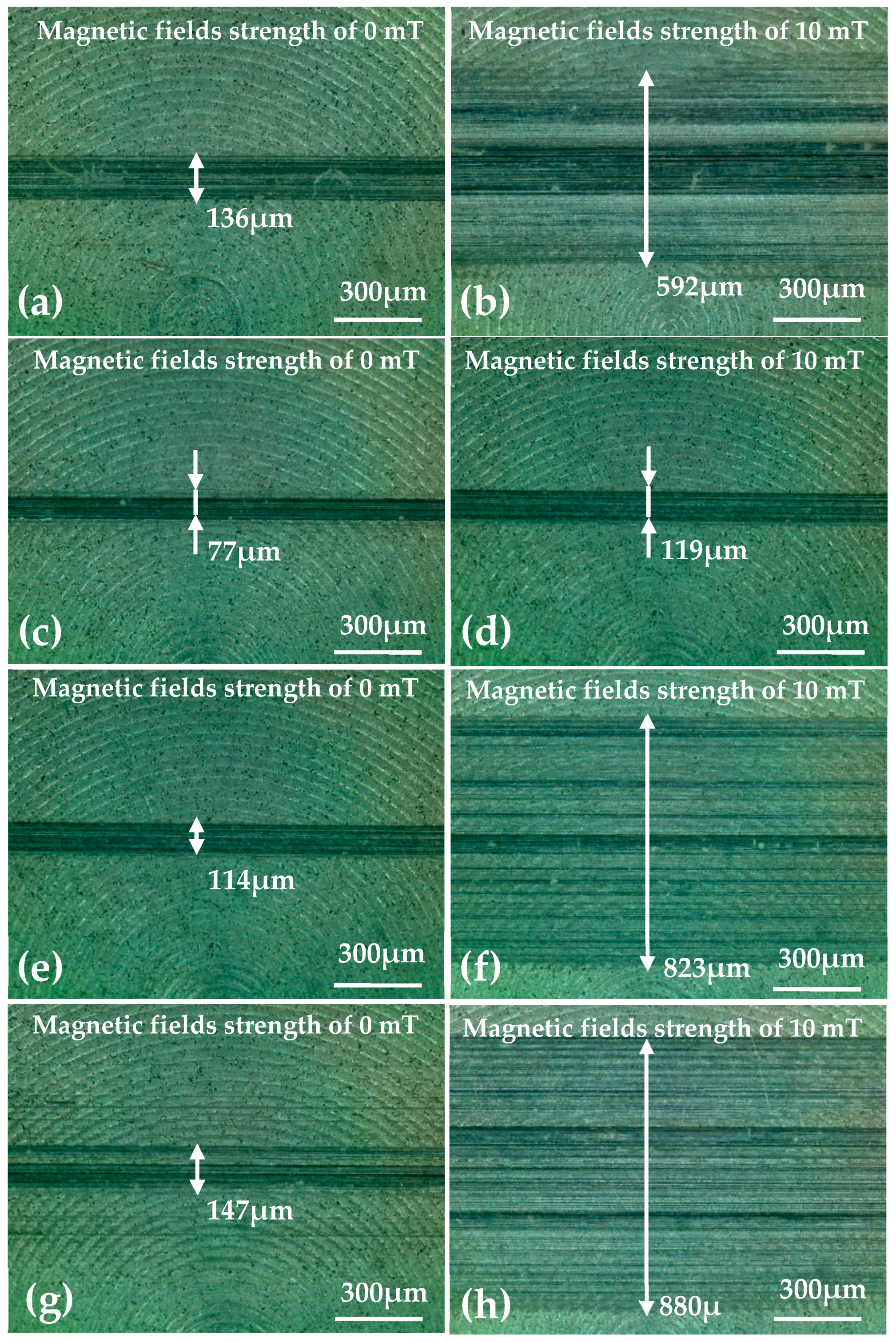 Micromachines 15 00270 g008