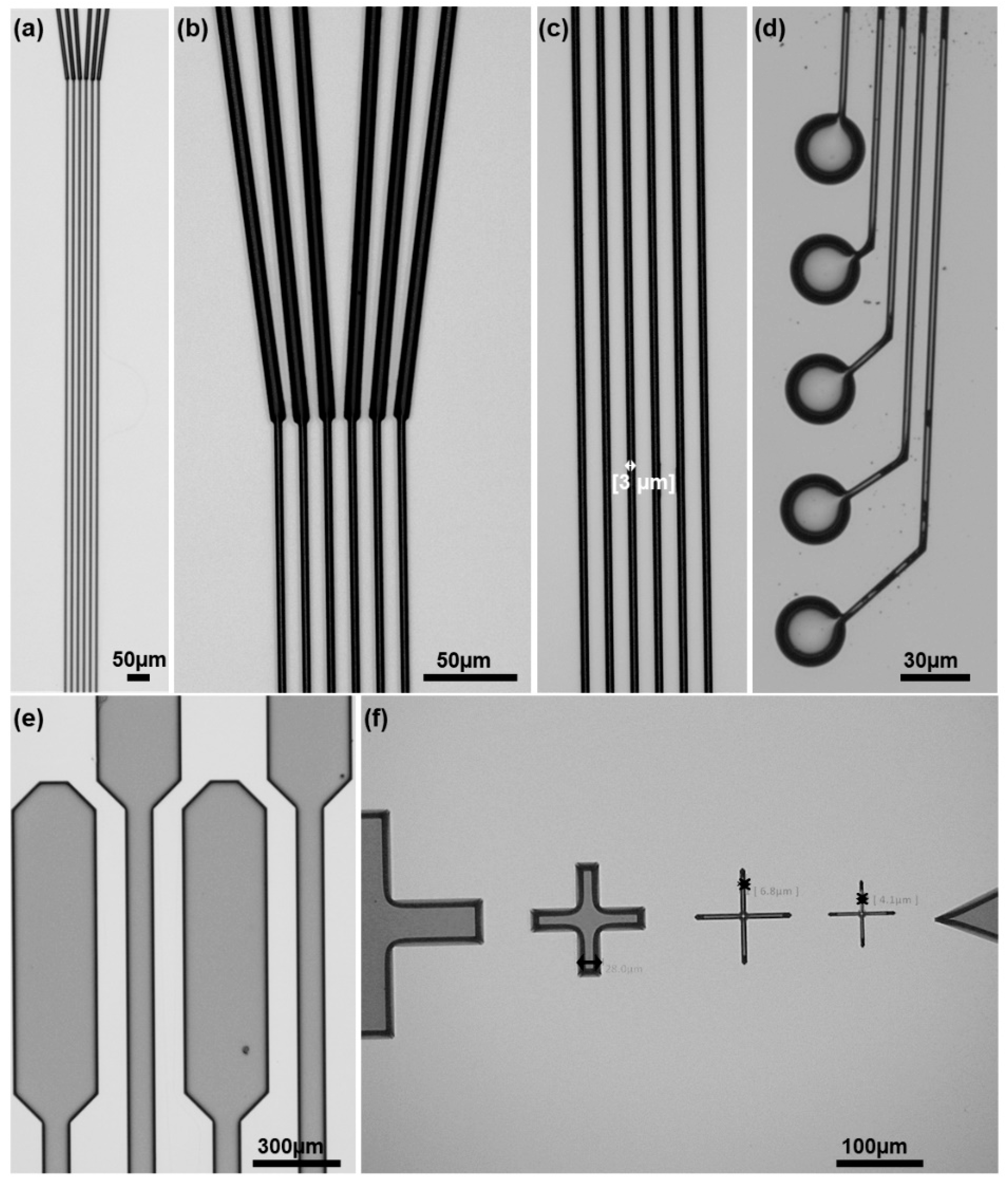 Micromachines | Free Full-Text | Batch Fabrication of Microelectrode ...