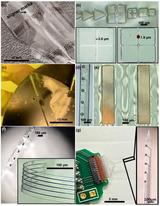 Micromachines | Free Full-Text | Batch Fabrication of Microelectrode ...