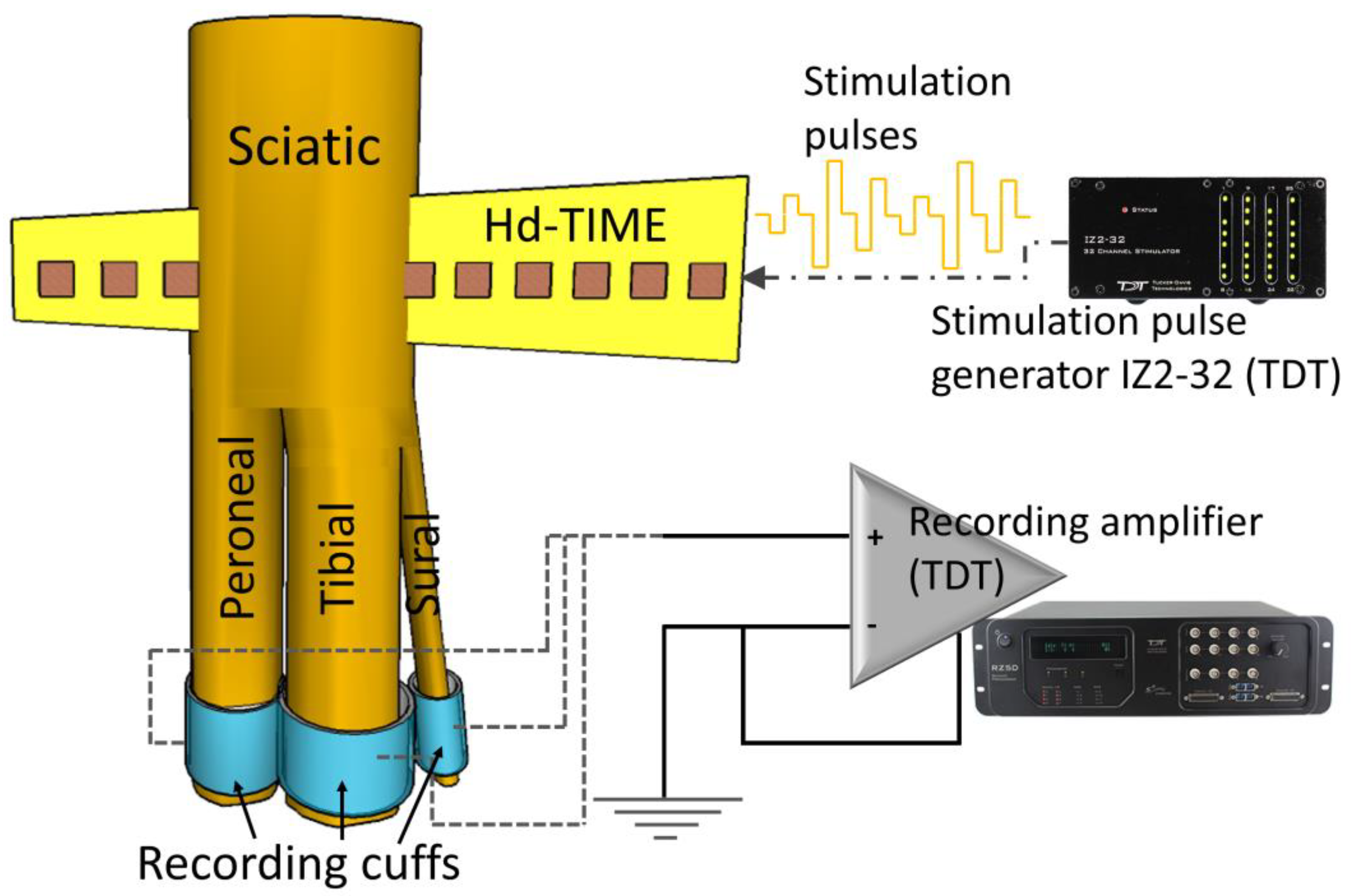 Micromachines 15 00280 g002