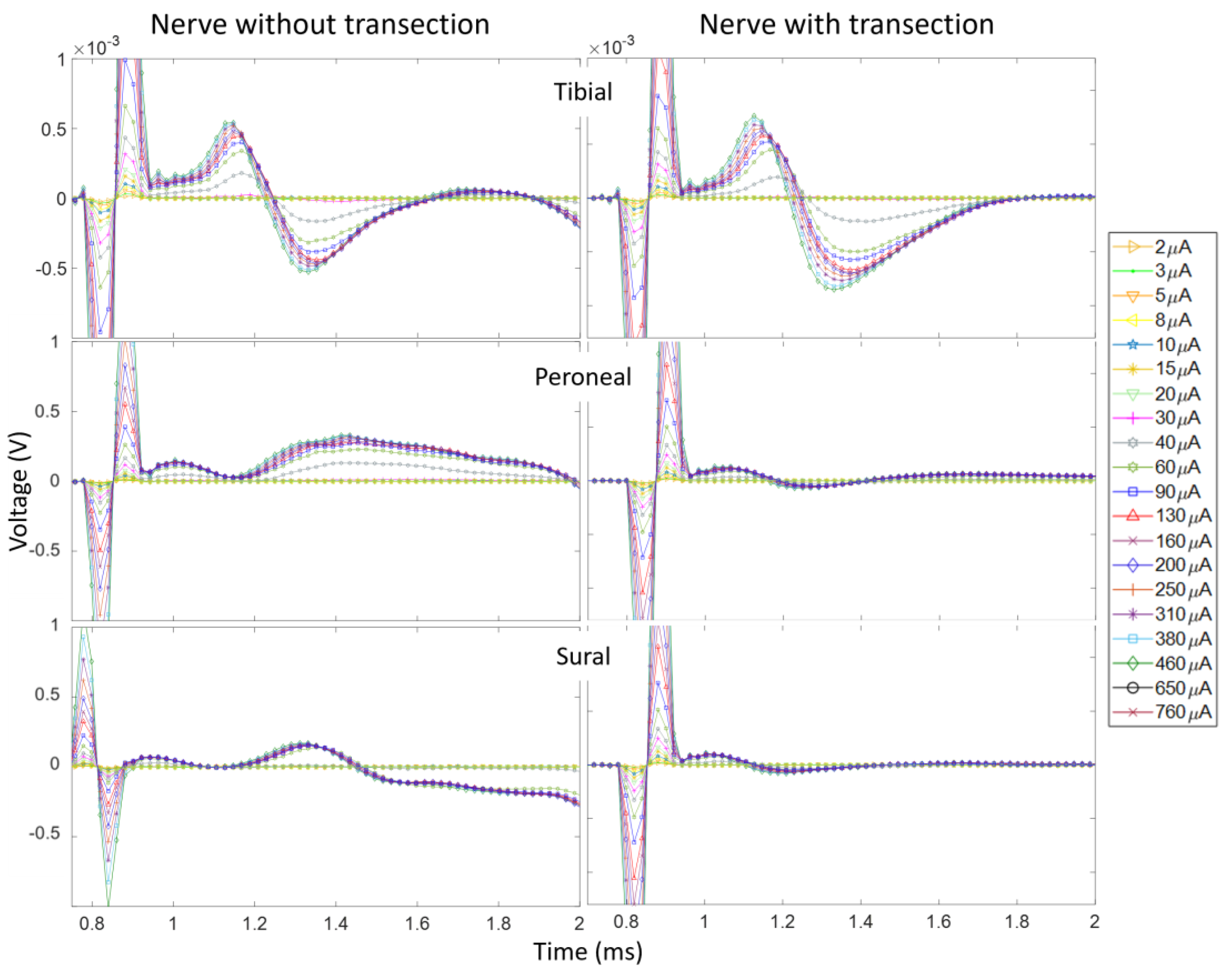 Micromachines 15 00280 g006
