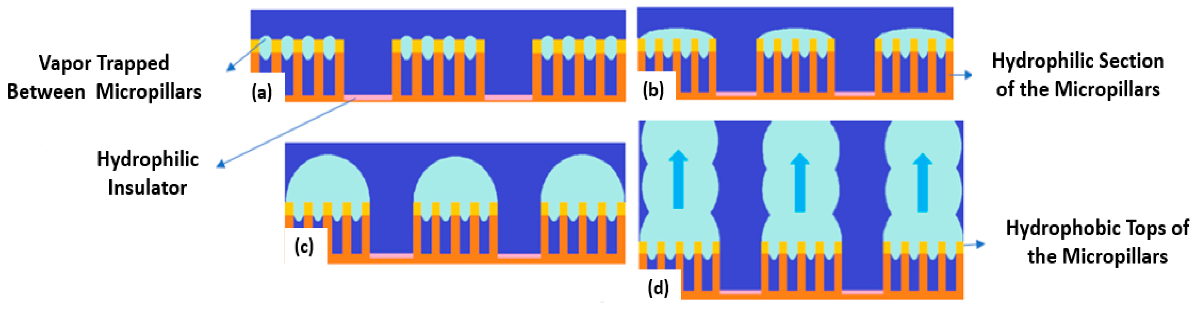 Micromachines 15 00281 g015
