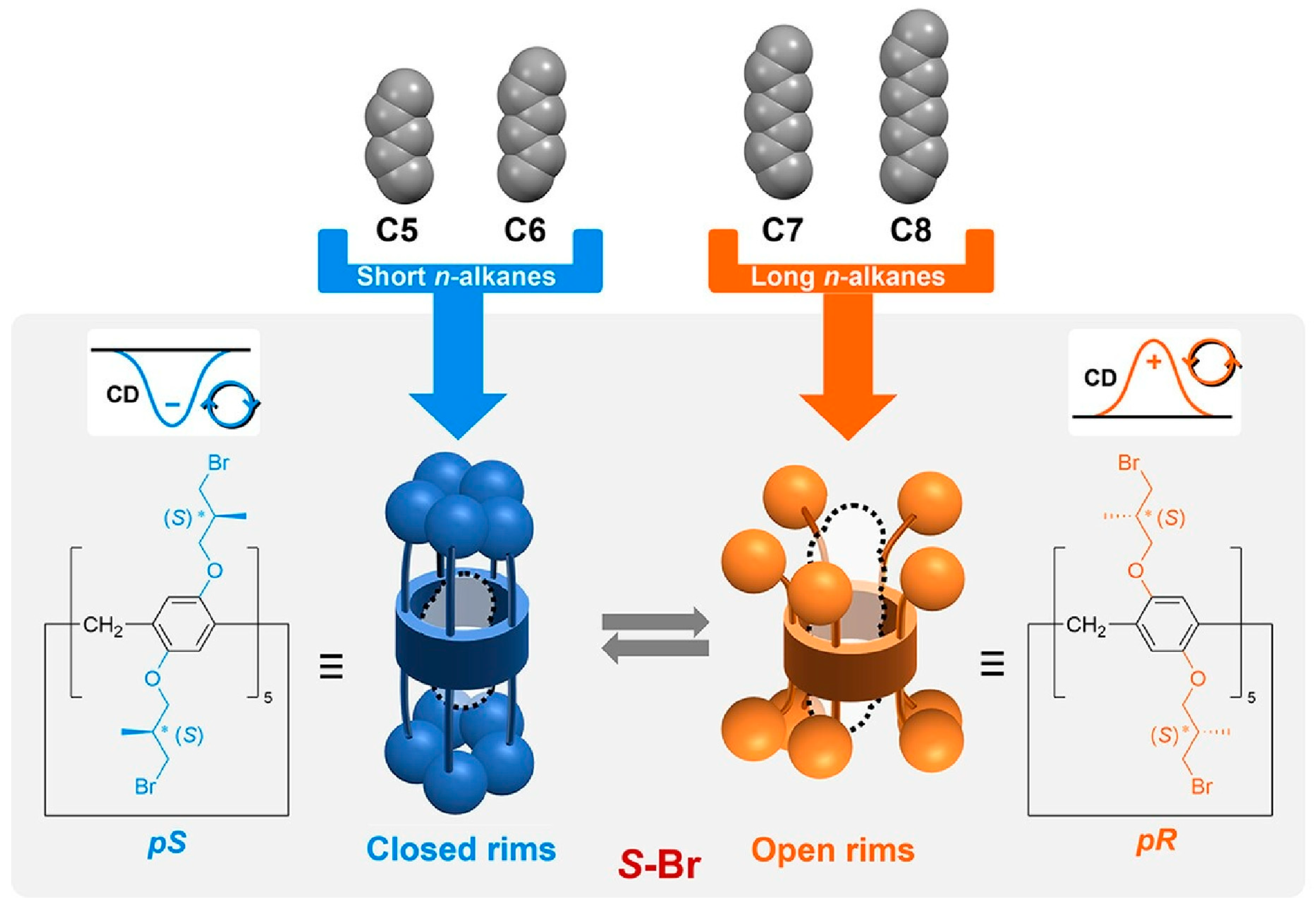 Micromachines 15 00282 g005