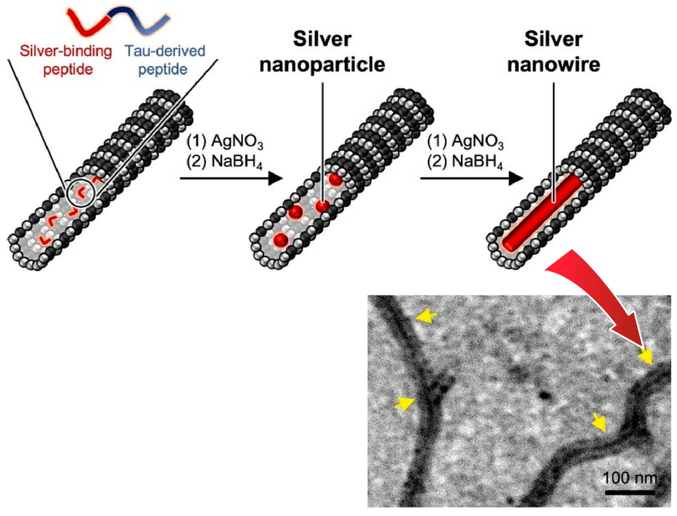 Micromachines 15 00282 g016