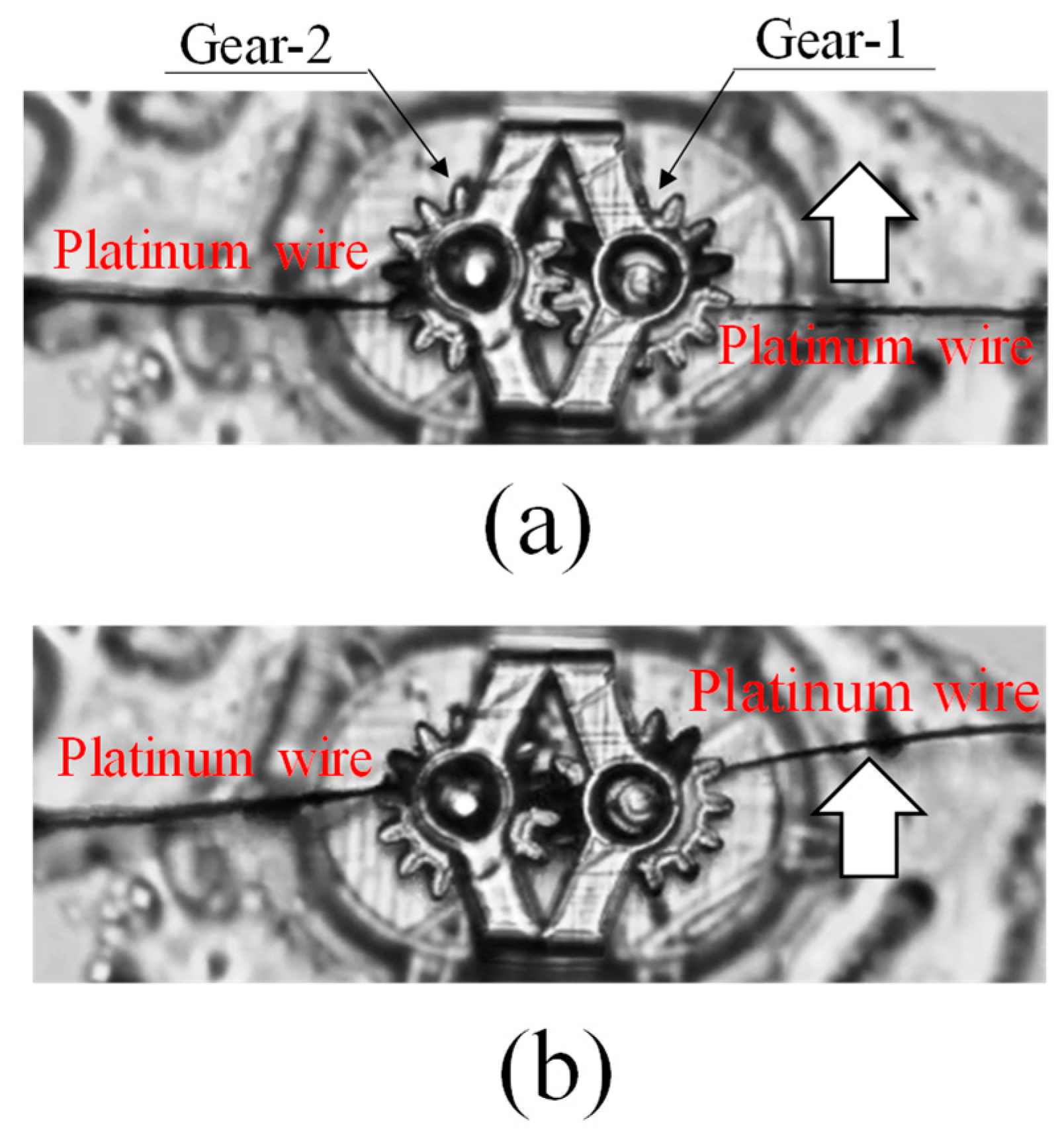 Micromachines 15 00284 g006 Micromachines 15 00284 g006