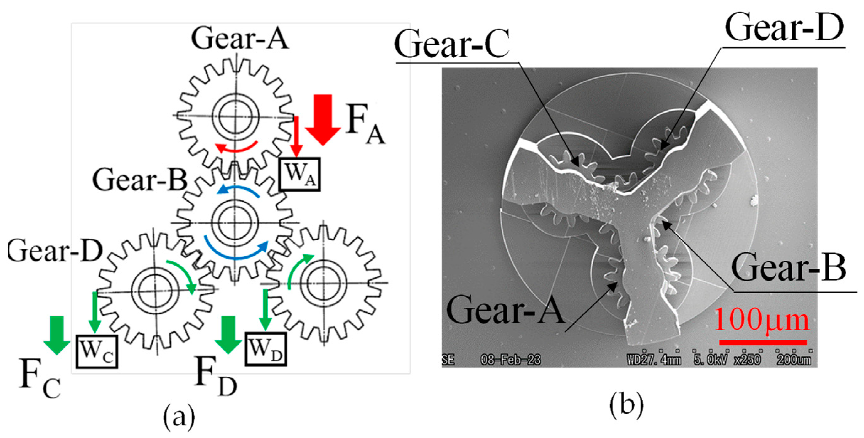 Micromachines 15 00284 g008 Micromachines 15 00284 g008