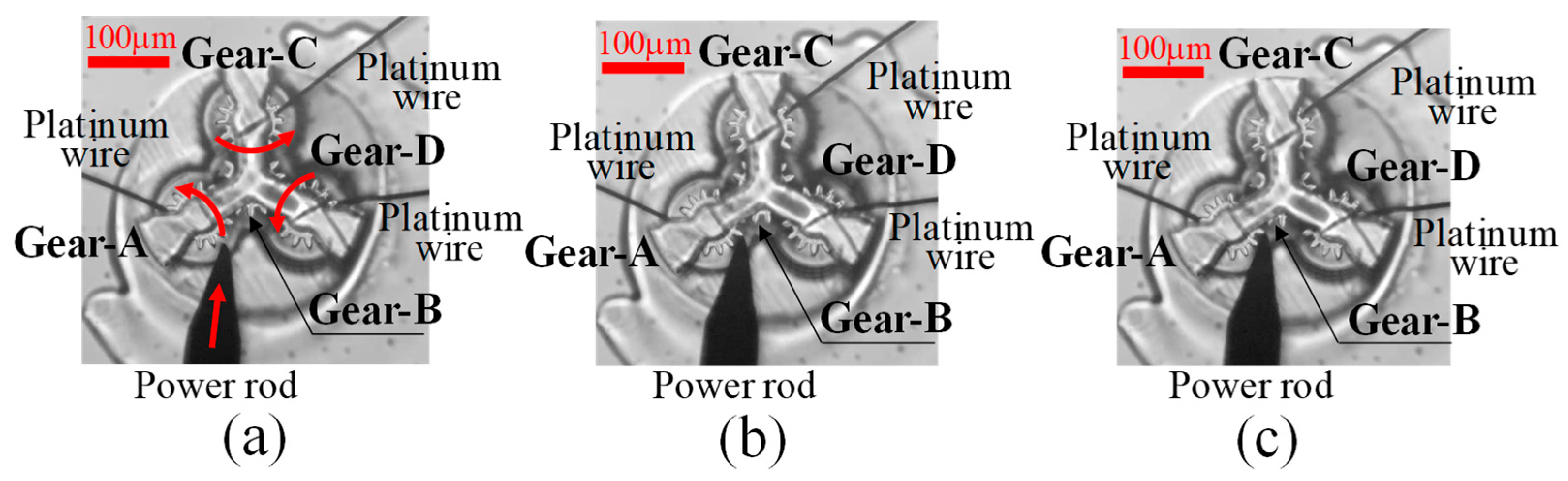 Micromachines 15 00284 g010 Micromachines 15 00284 g010