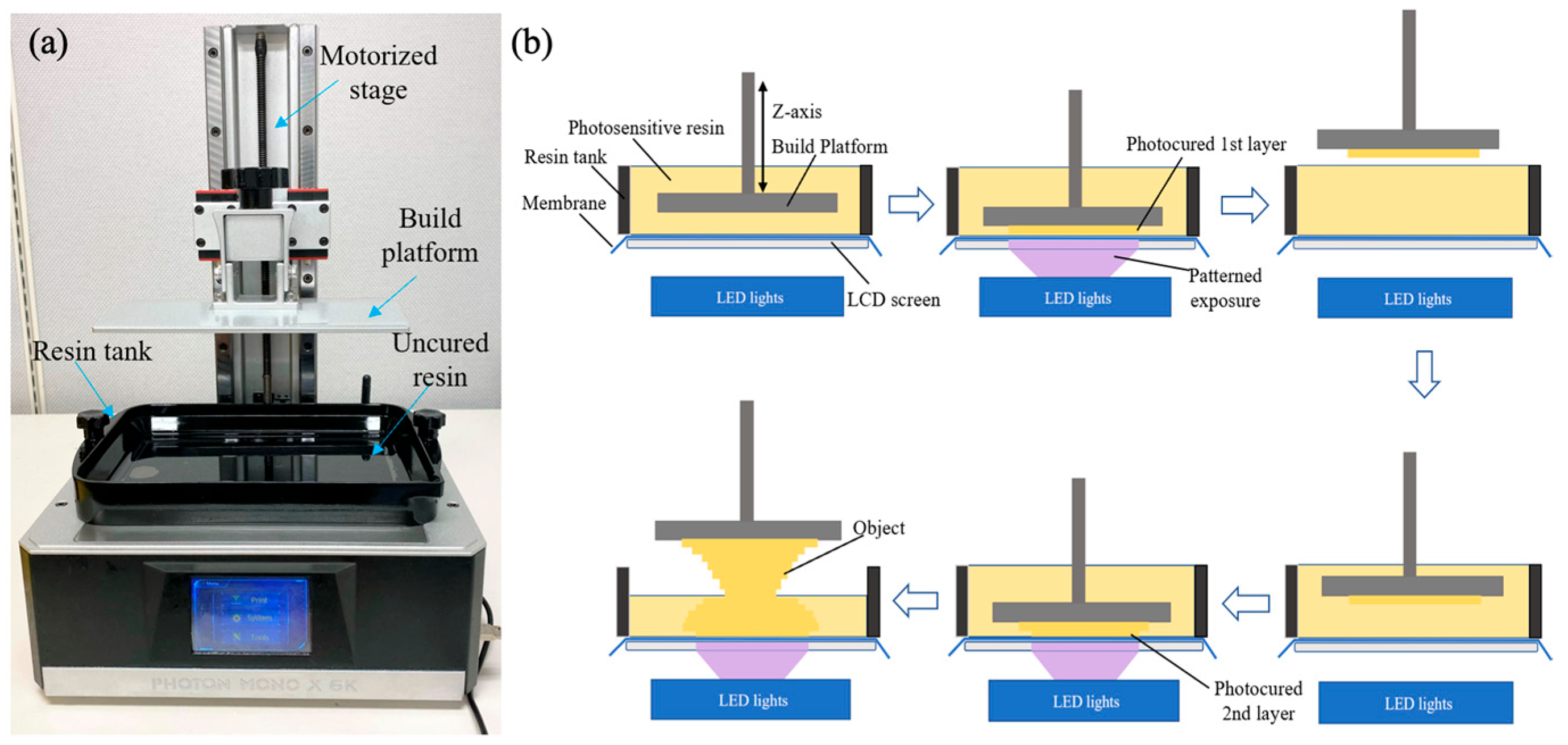 Micromachines 15 00291 g003
