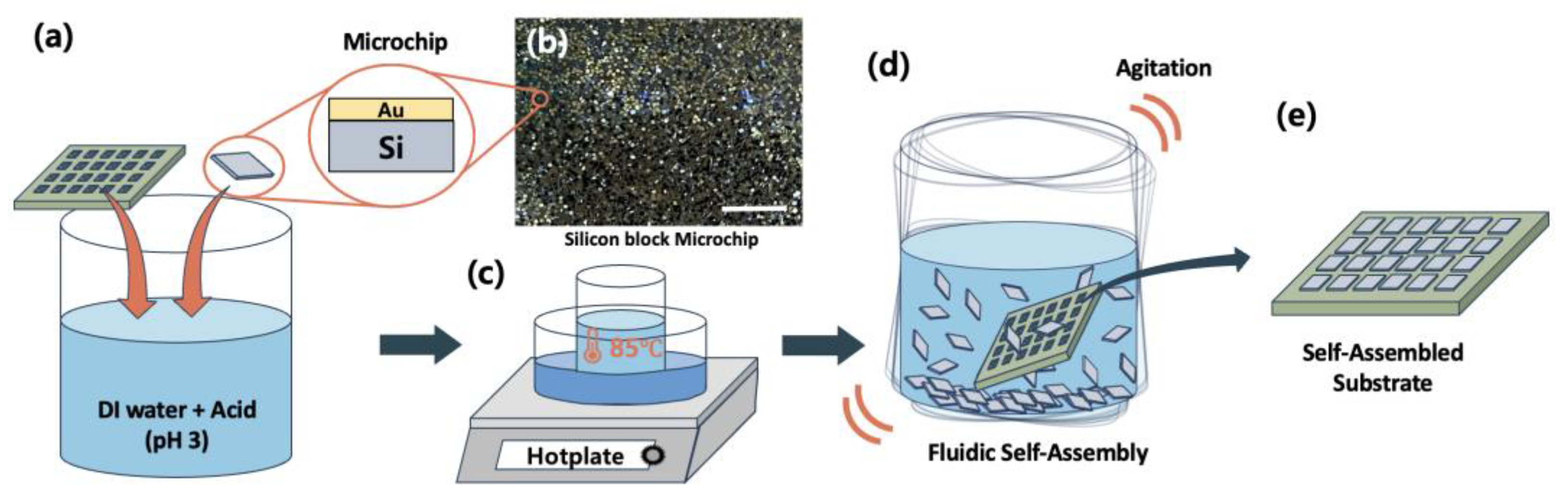 Micromachines 15 00300 g001