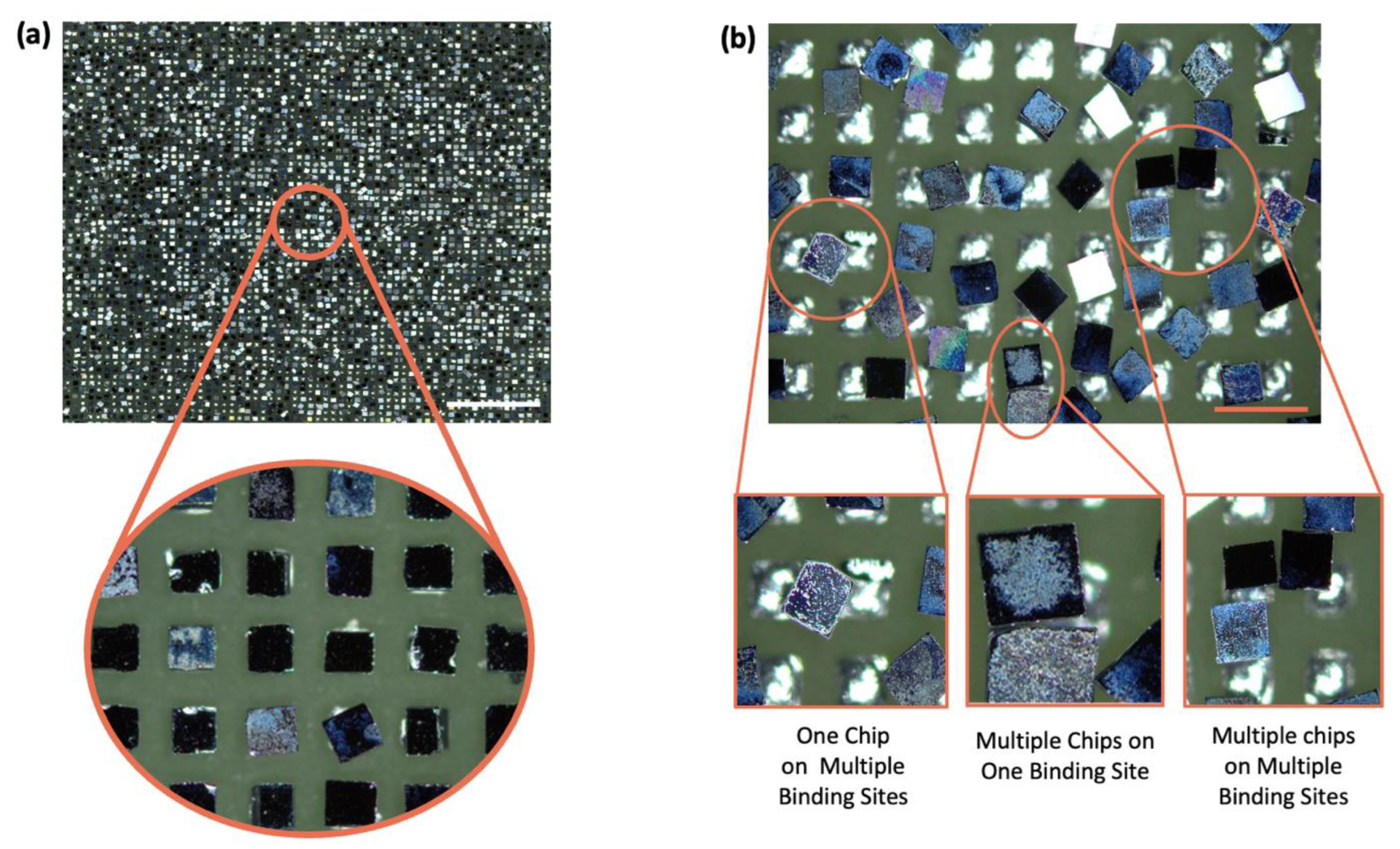 Micromachines 15 00300 g003