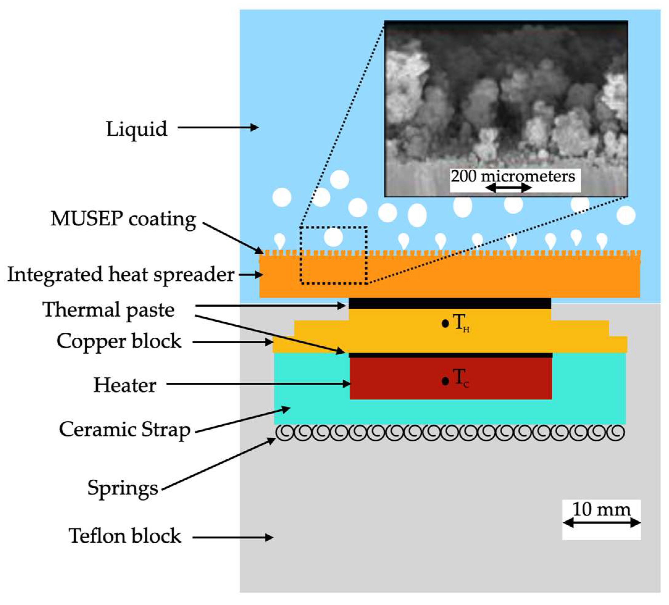 Micromachines 15 00302 g008