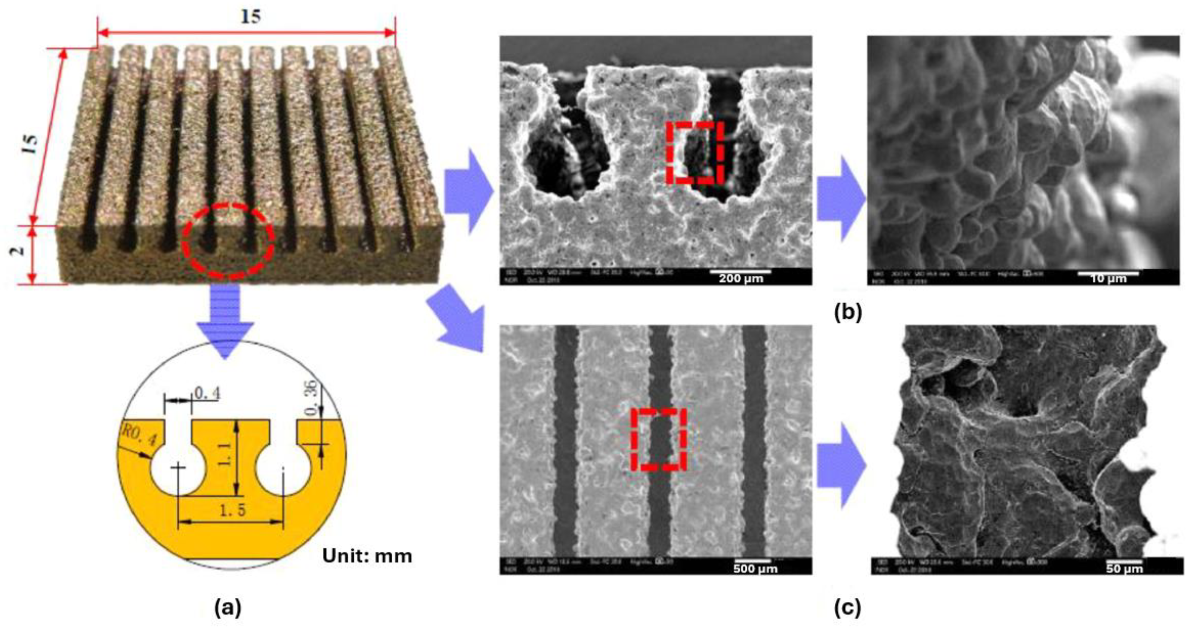 Micromachines 15 00302 g010
