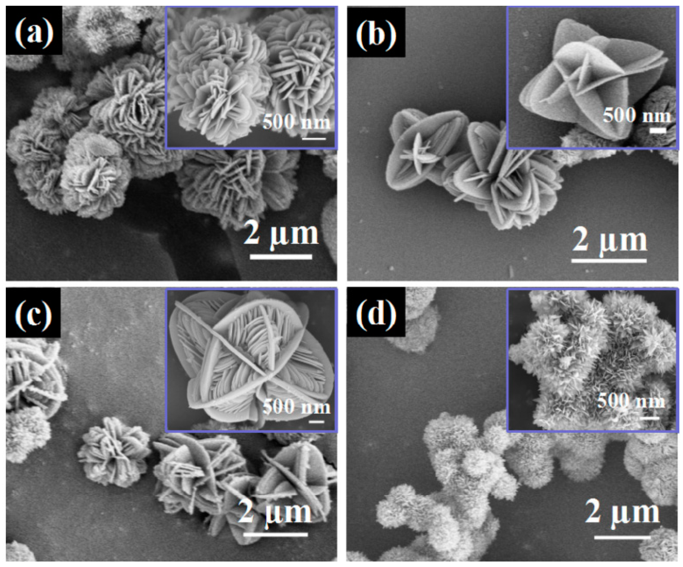 Micromachines 15 00310 g013