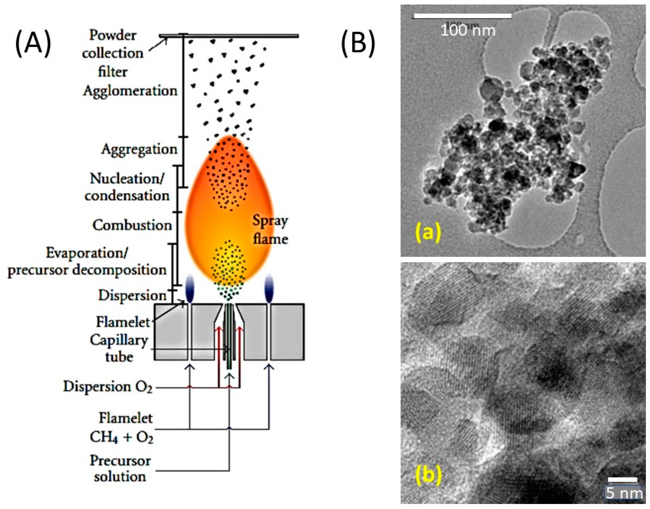 Micromachines 15 00310 g017