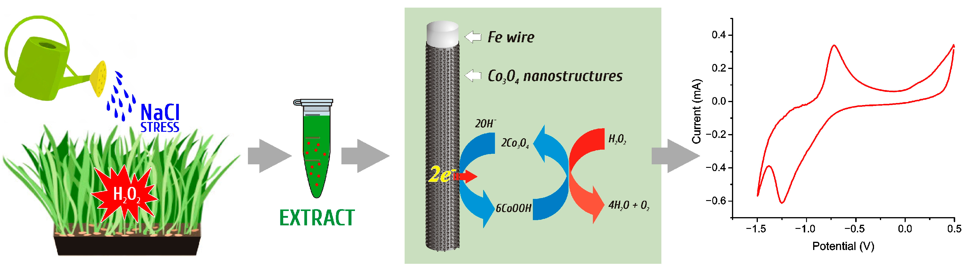 Micromachines 15 00311 g001