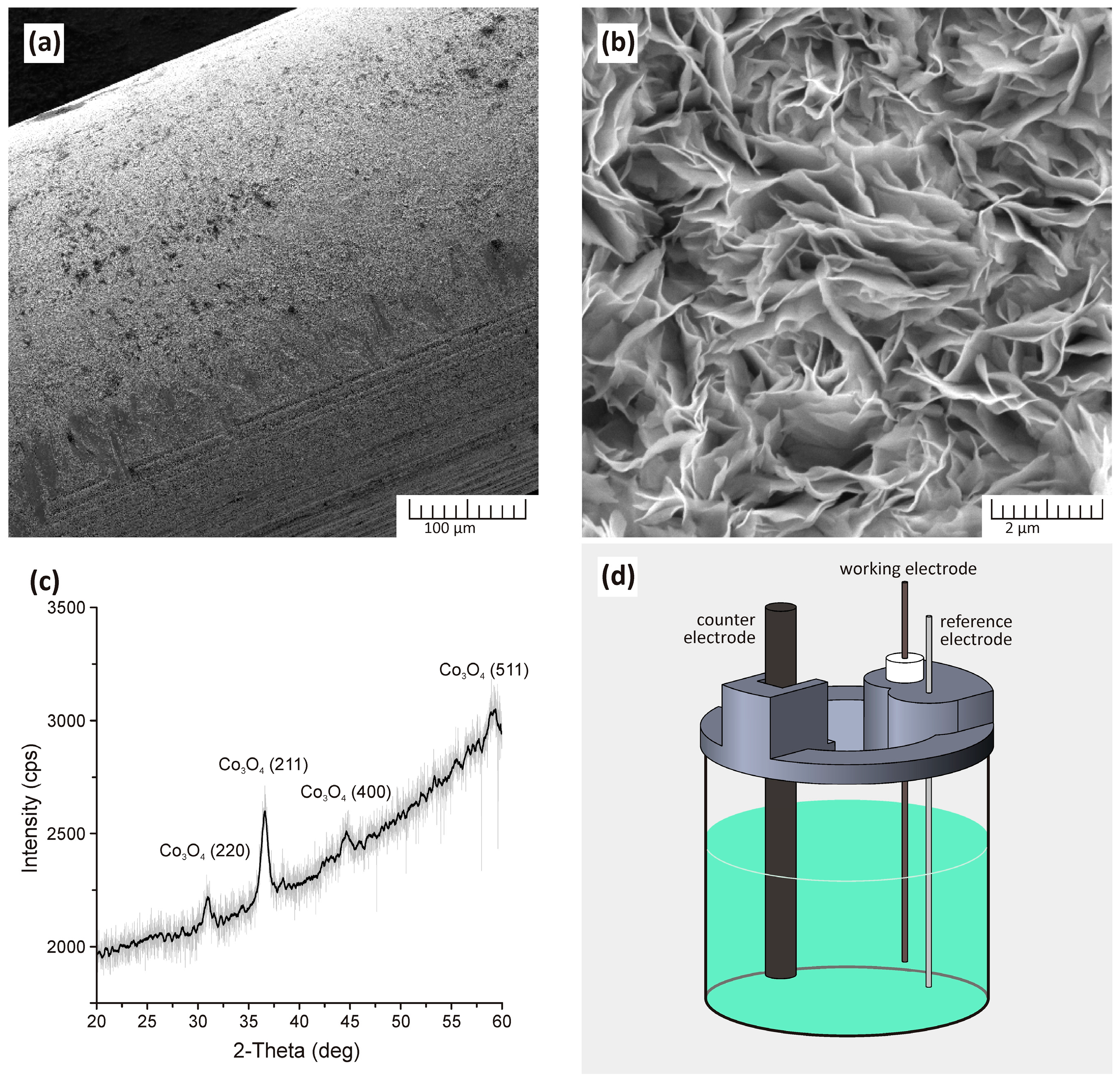 Micromachines 15 00311 g005