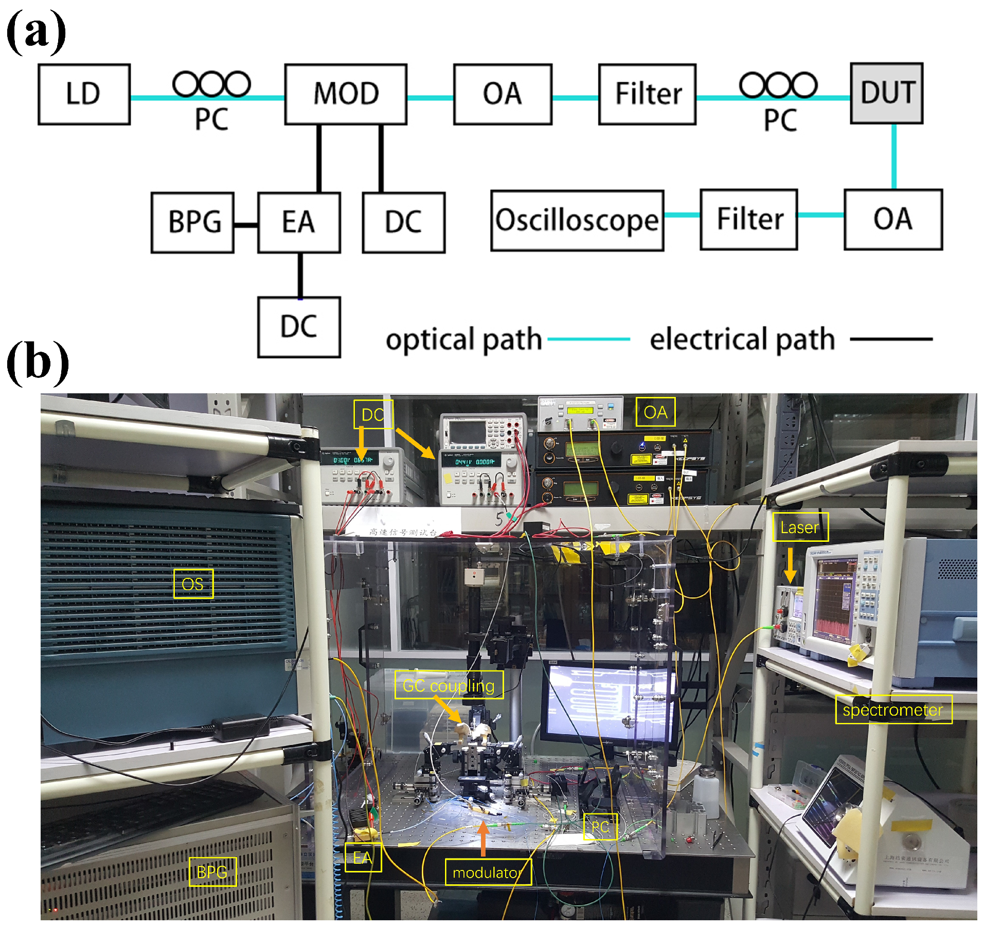 Micromachines 15 00326 g005