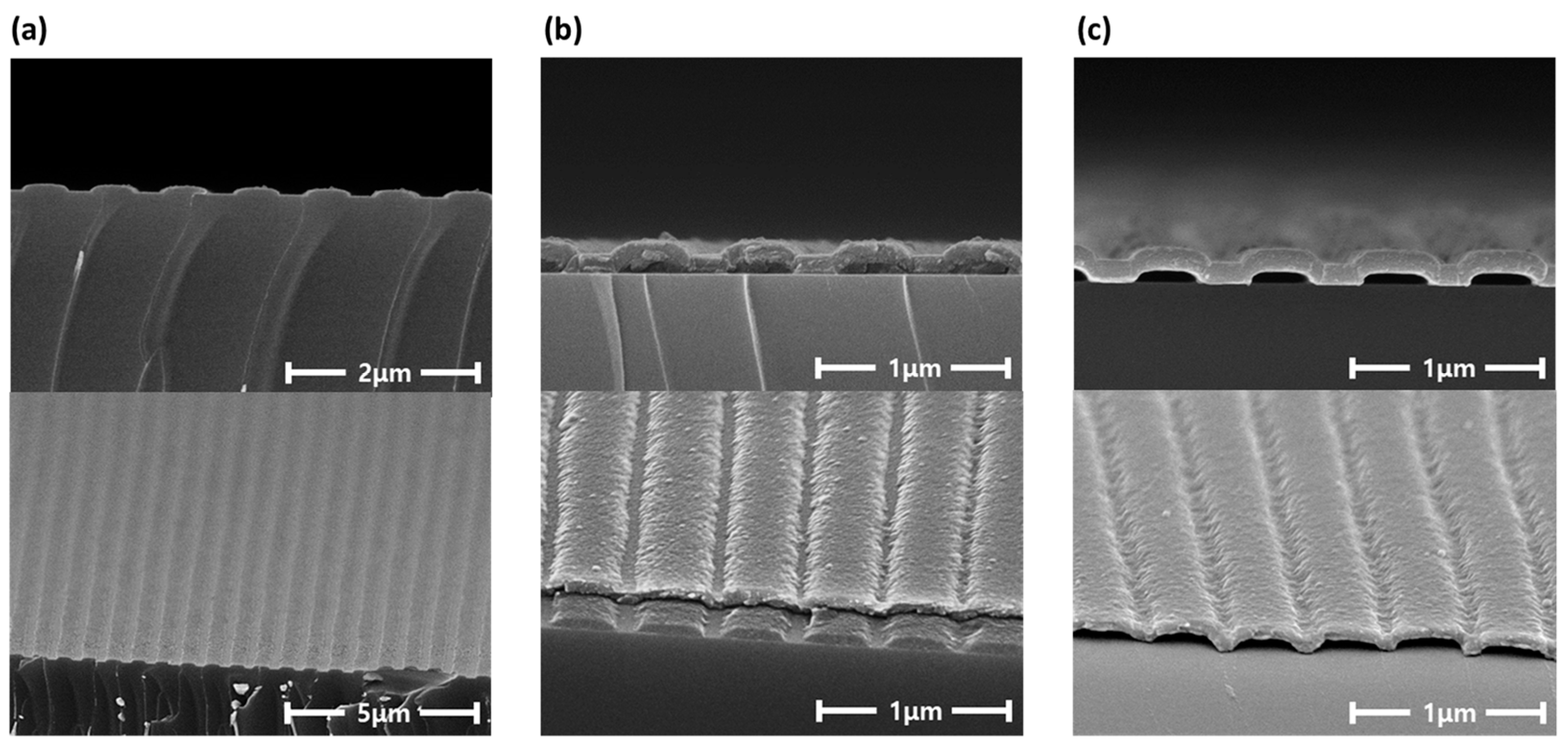 Micromachines 15 00328 g010