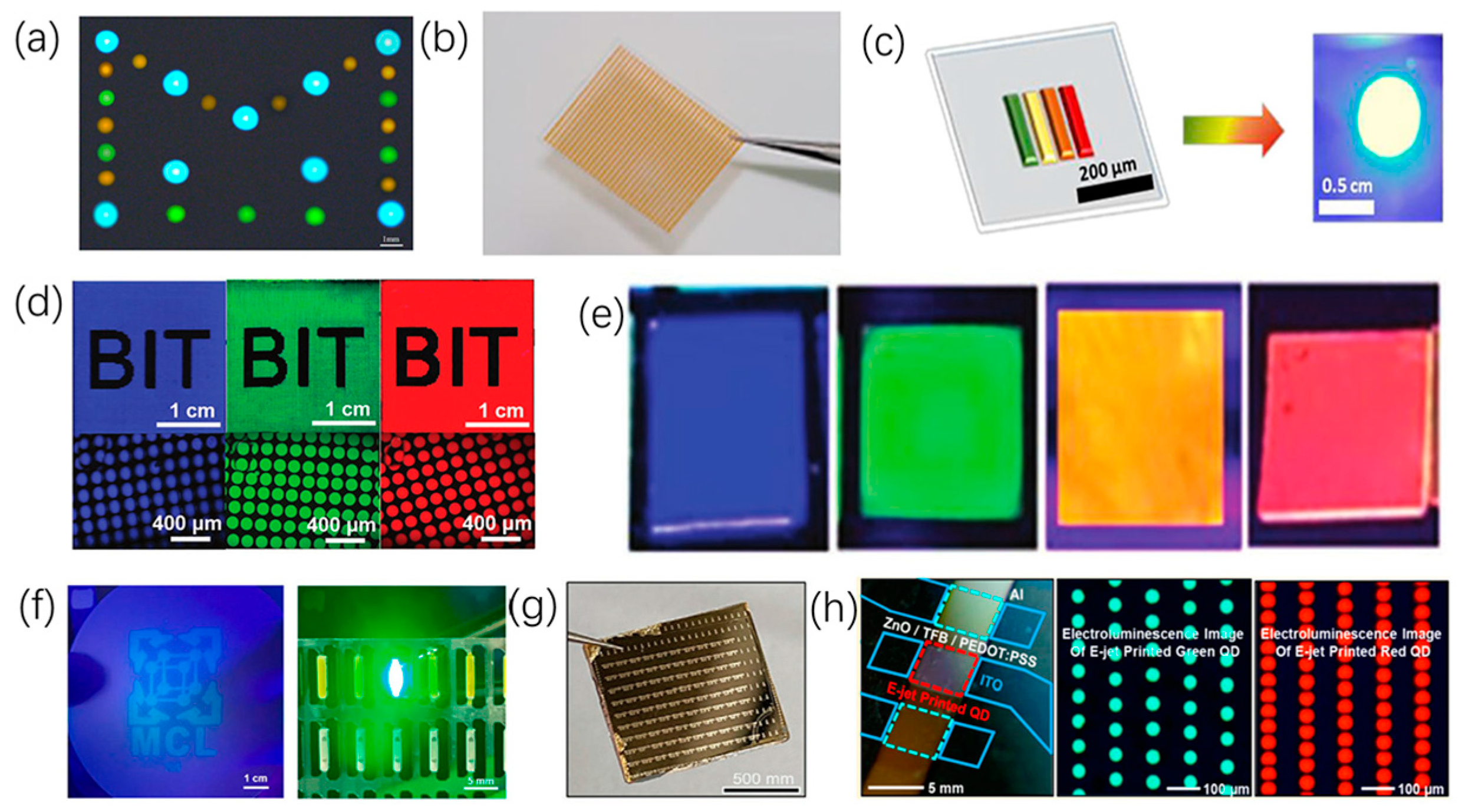 Micromachines 15 00333 g008