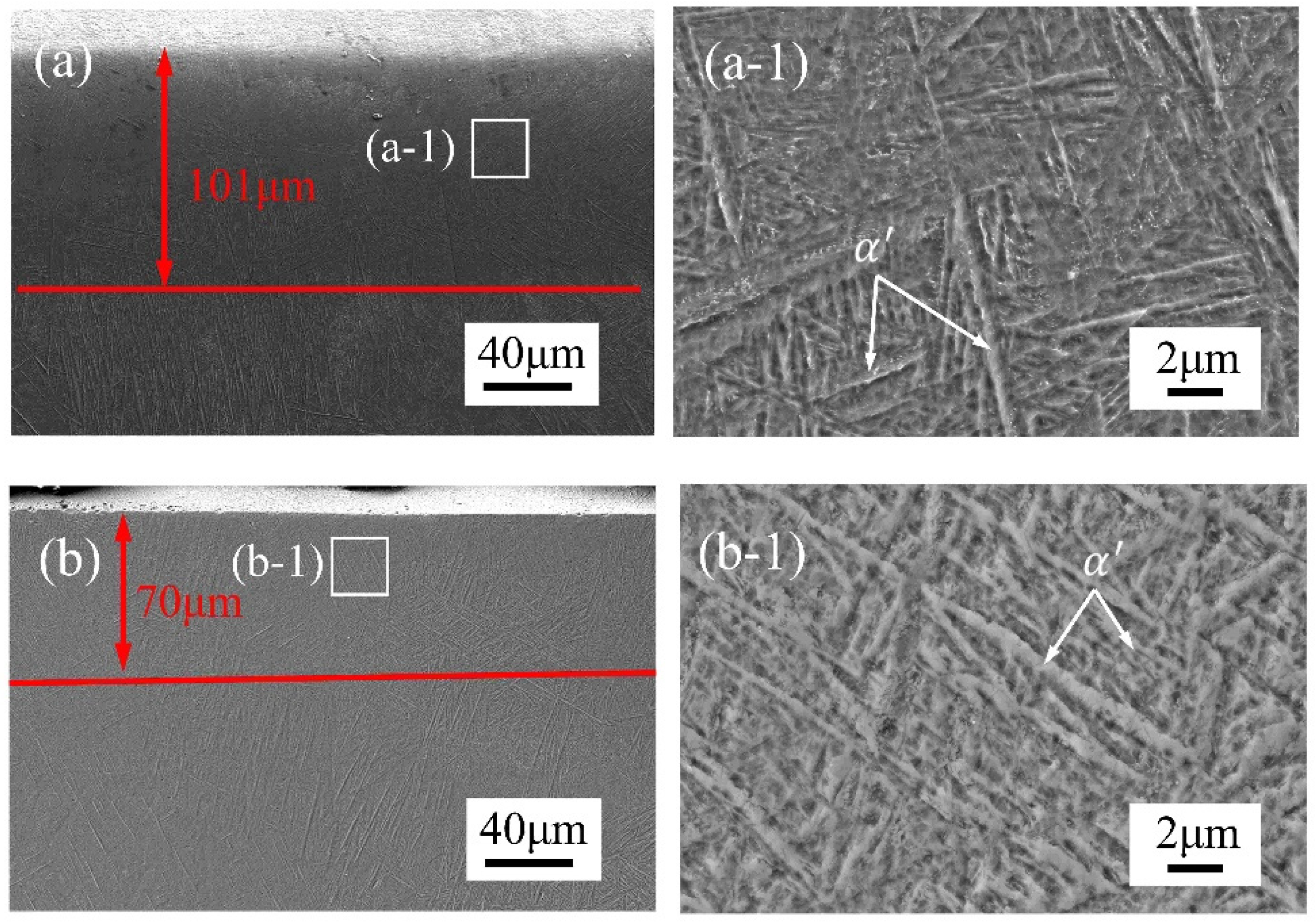 Micromachines 15 00336 g006