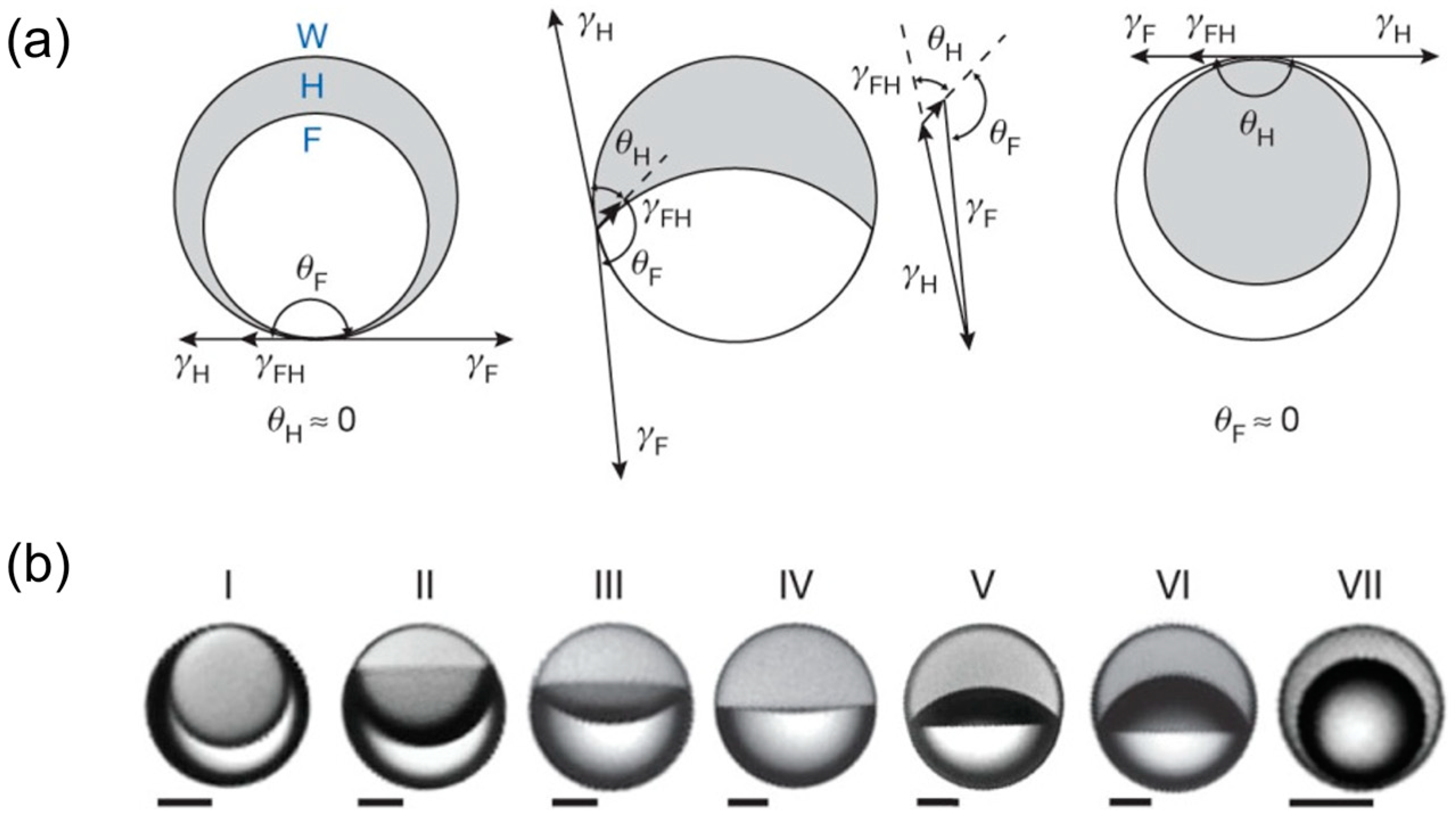 Micromachines 15 00337 g005
