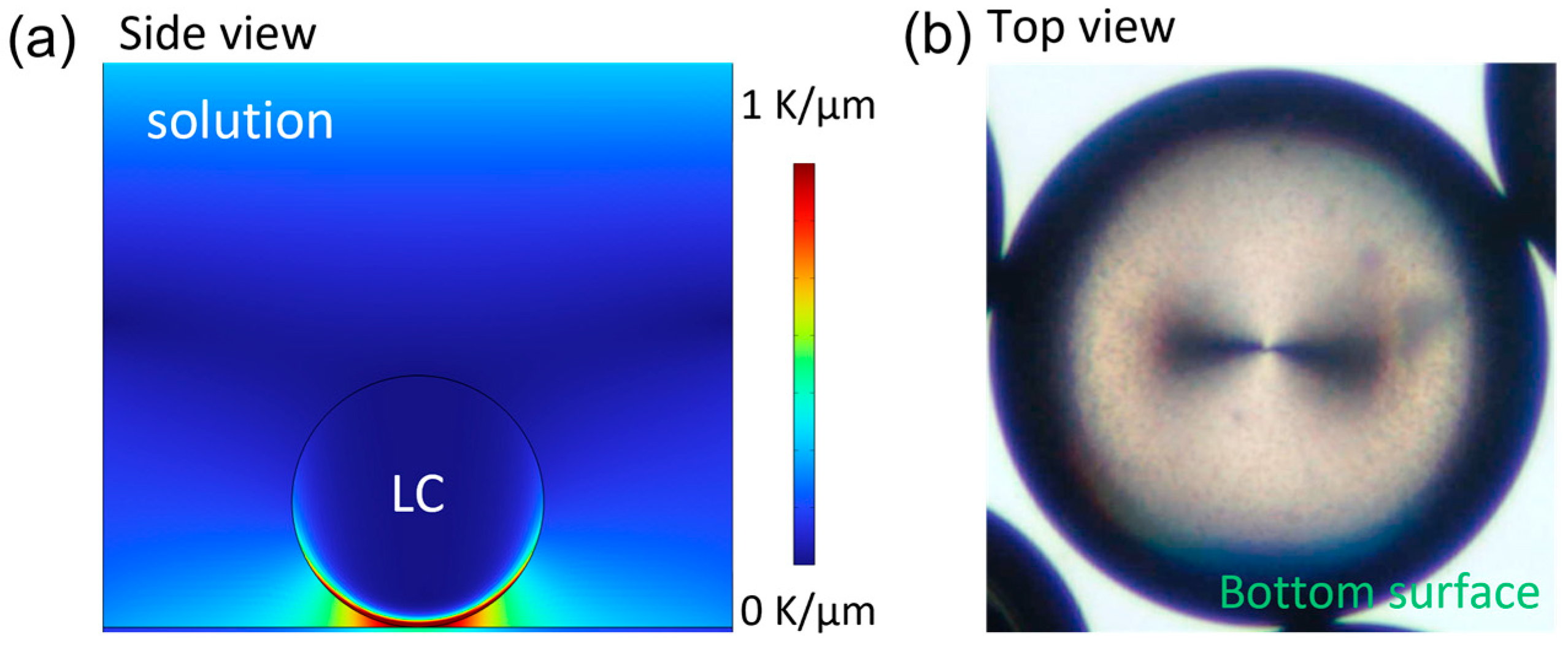 Micromachines 15 00337 g007