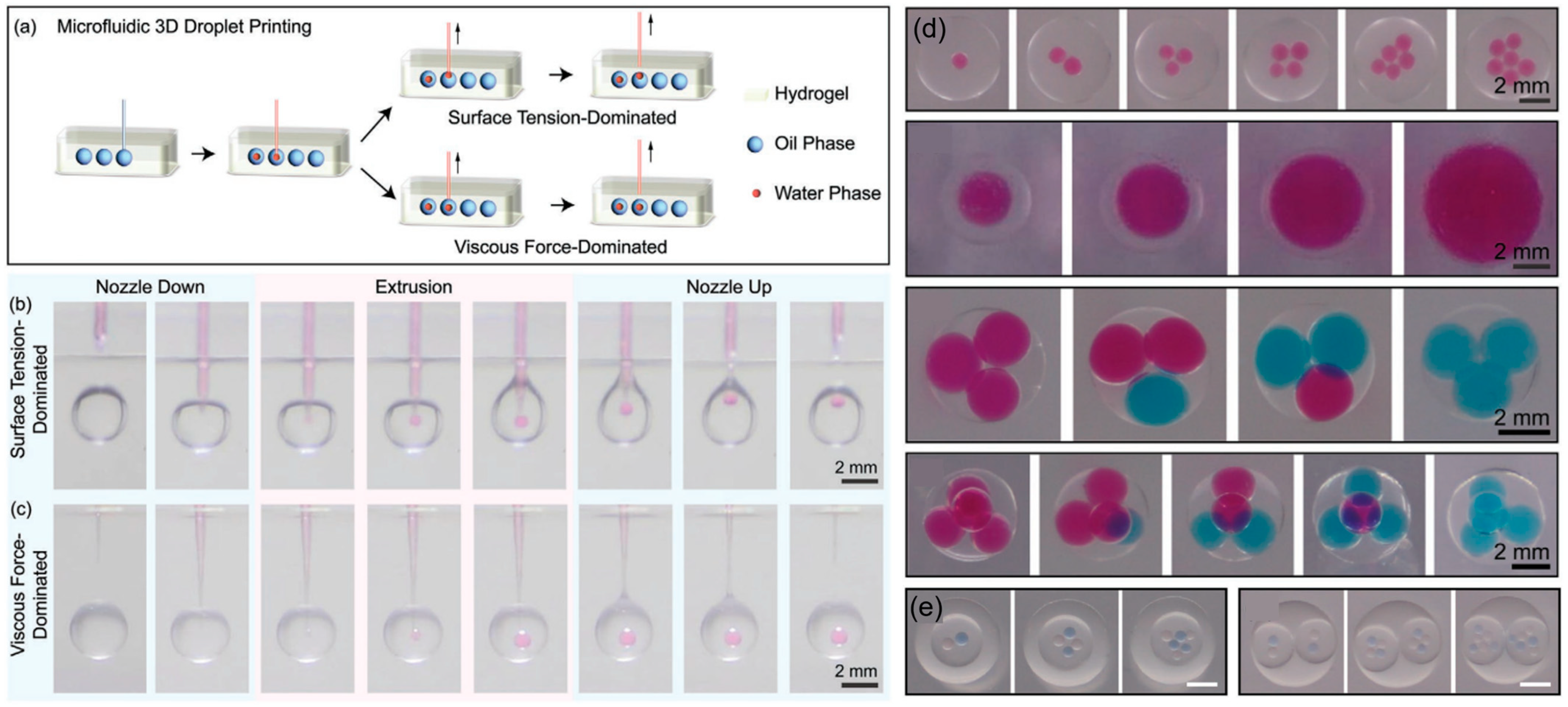 Micromachines 15 00337 g010