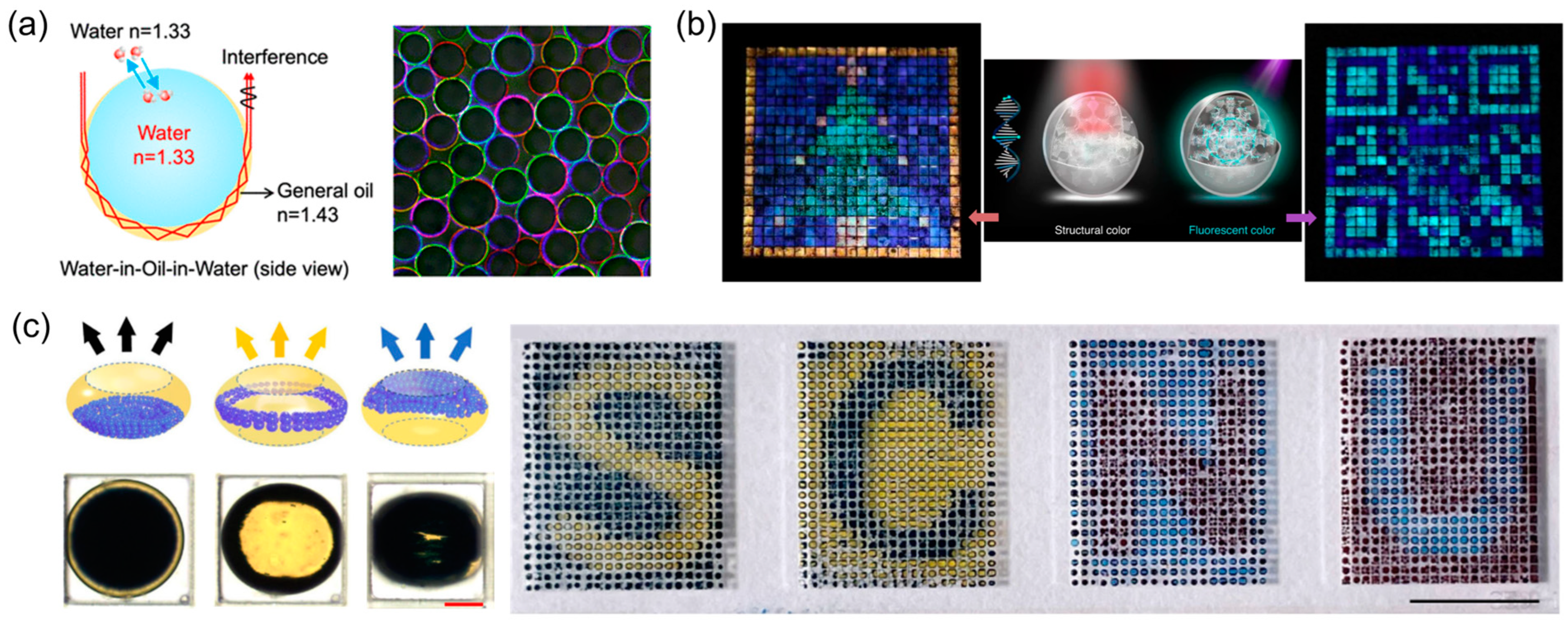 Micromachines 15 00337 g014