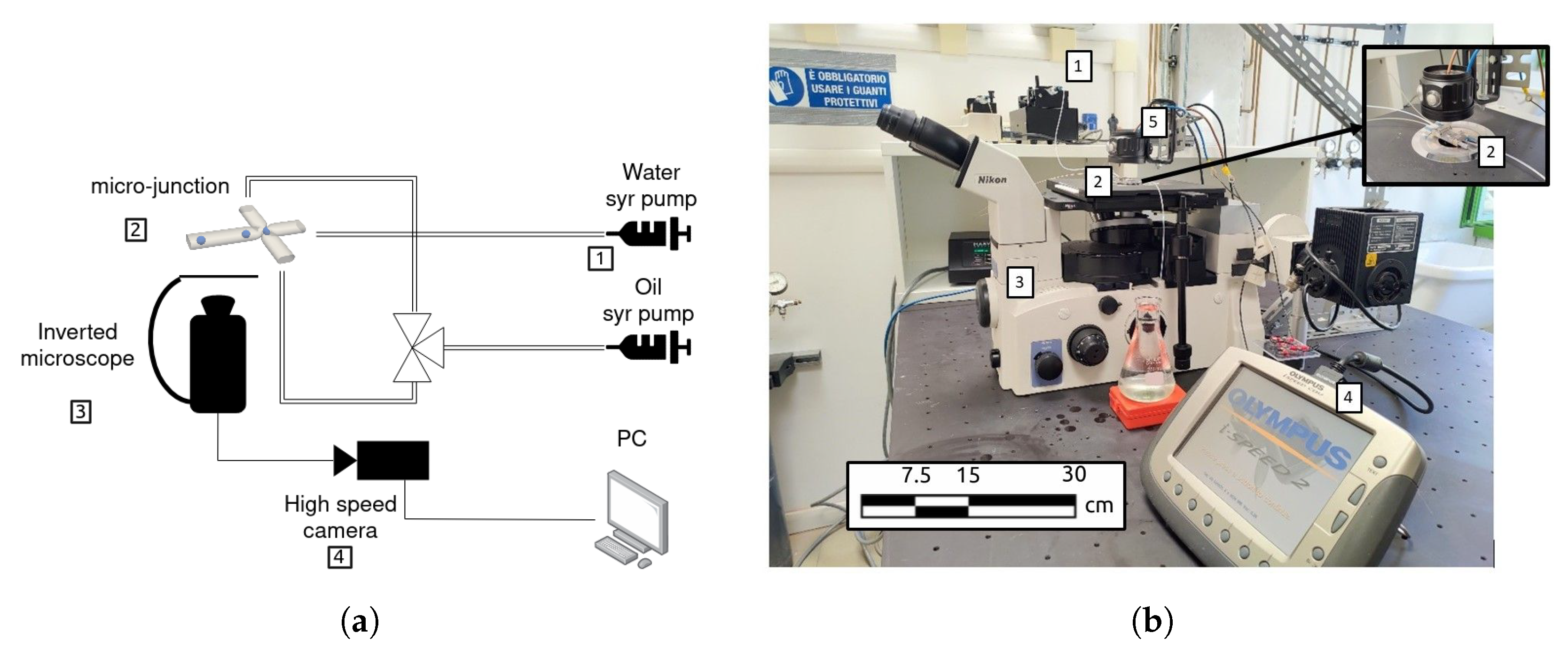 Micromachines 15 00339 g004