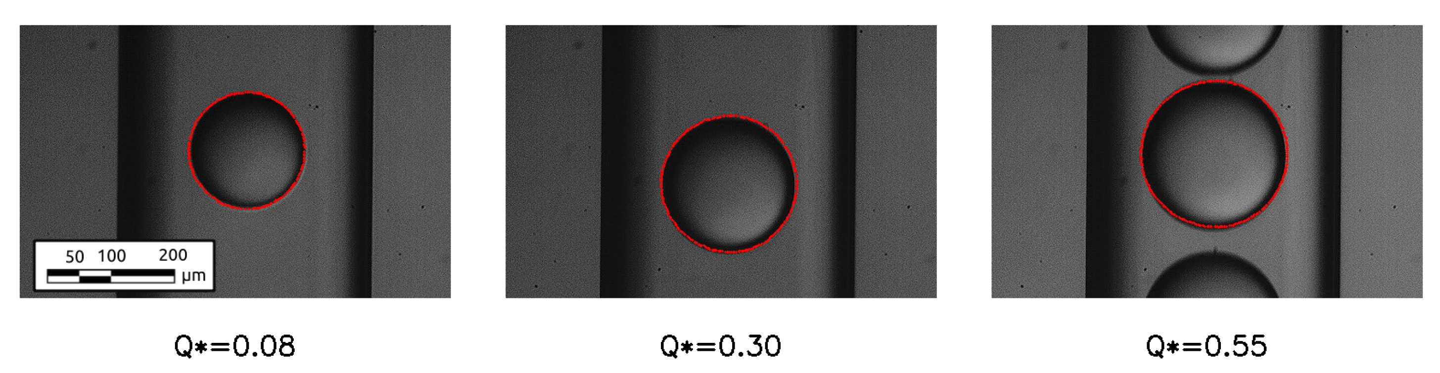 Micromachines 15 00339 g005